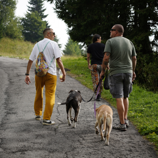 Compton Gardens Social Walk