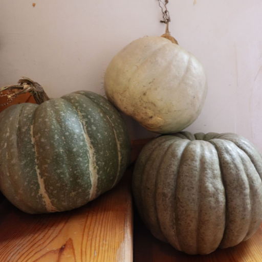 Self Care Sunday | Decoupage Pumpkins