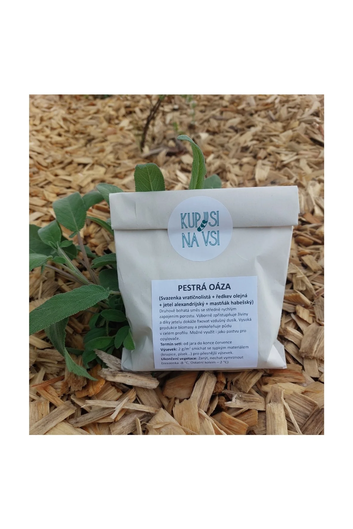 Osivo meziplodin Pestrá oáza, 120 g - AGRO SYCHROV