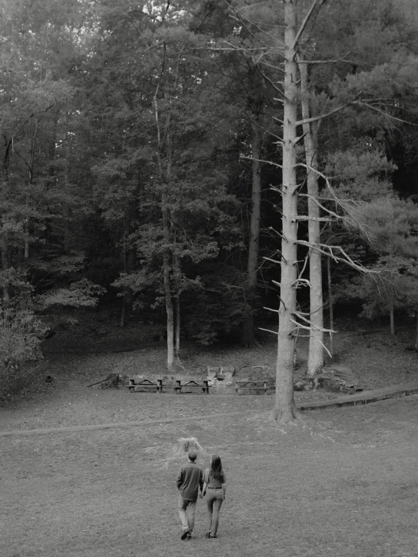 A walk in the forested hills, portraits taken with old lenses, and good company.