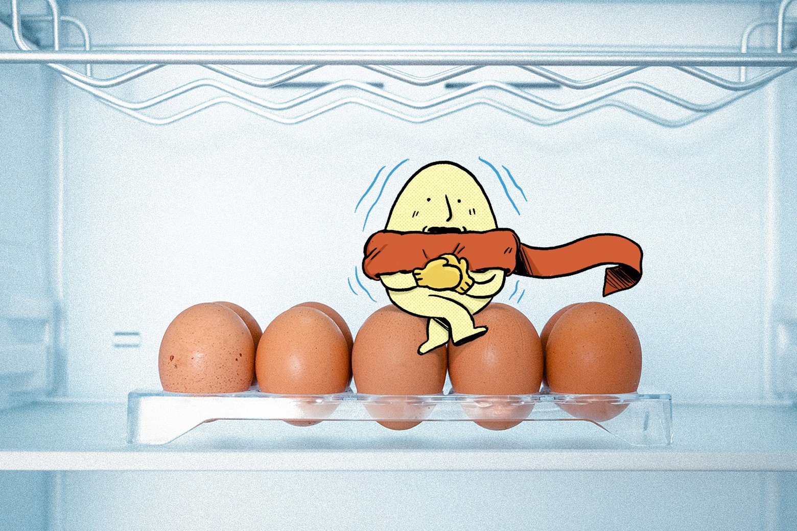 EGGBLOG_fridgeeggs_illo_MontyVaz_v2.jpg