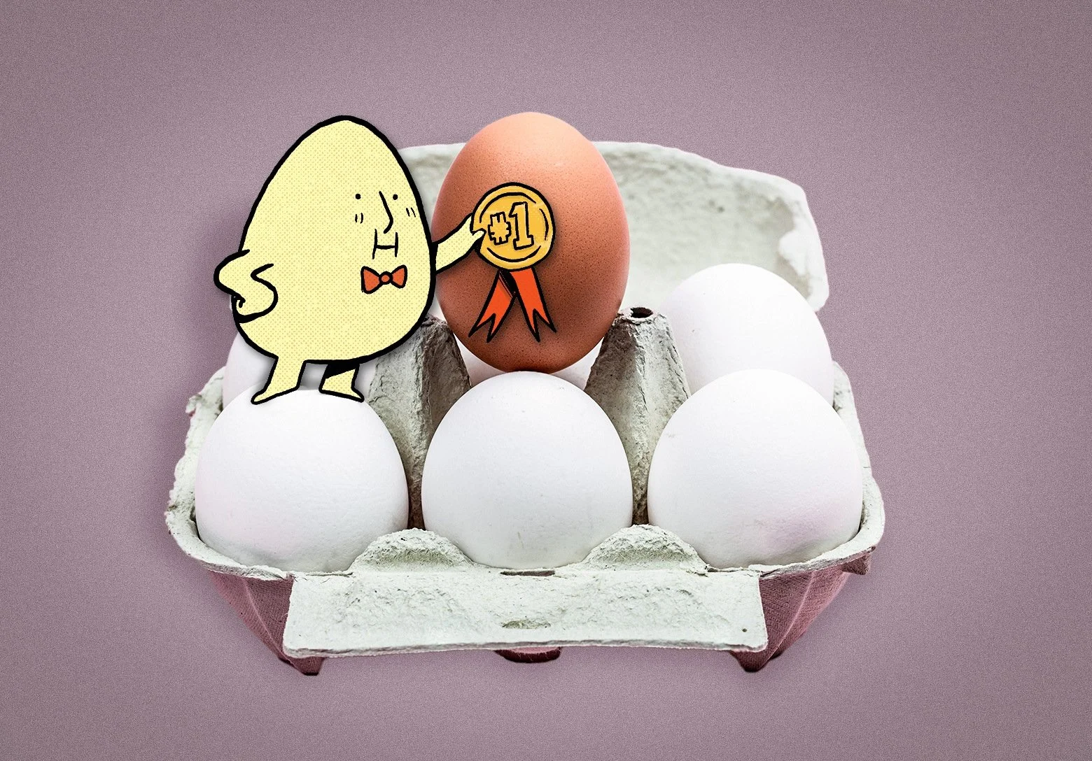 EGGBLOG_browneggsbetter_illo_montyvaz_v2.jpg