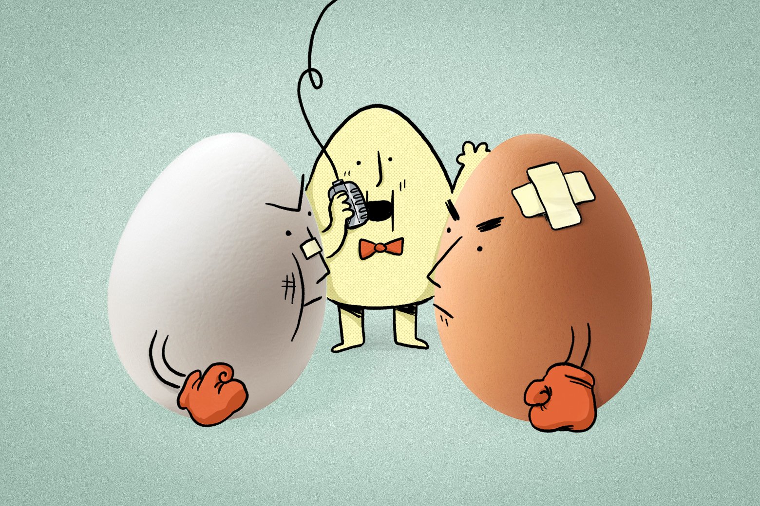 EGGBLOG_browneggvswhitegg_illo_MontyVaz.jpg