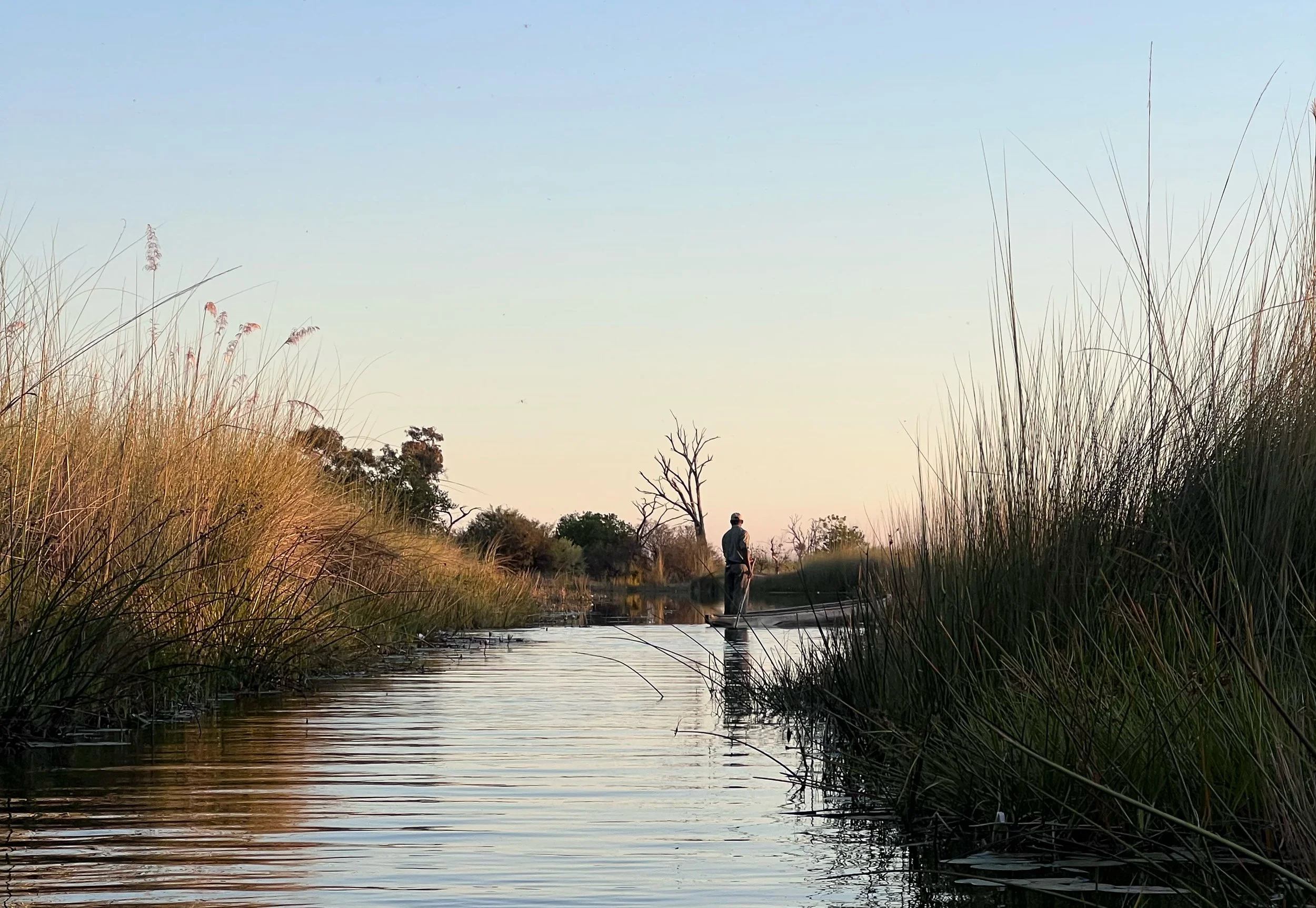 My Definitive Guide to Mokoro Safaris in Botswana's Okavango Delta: Everything You Need to Know!