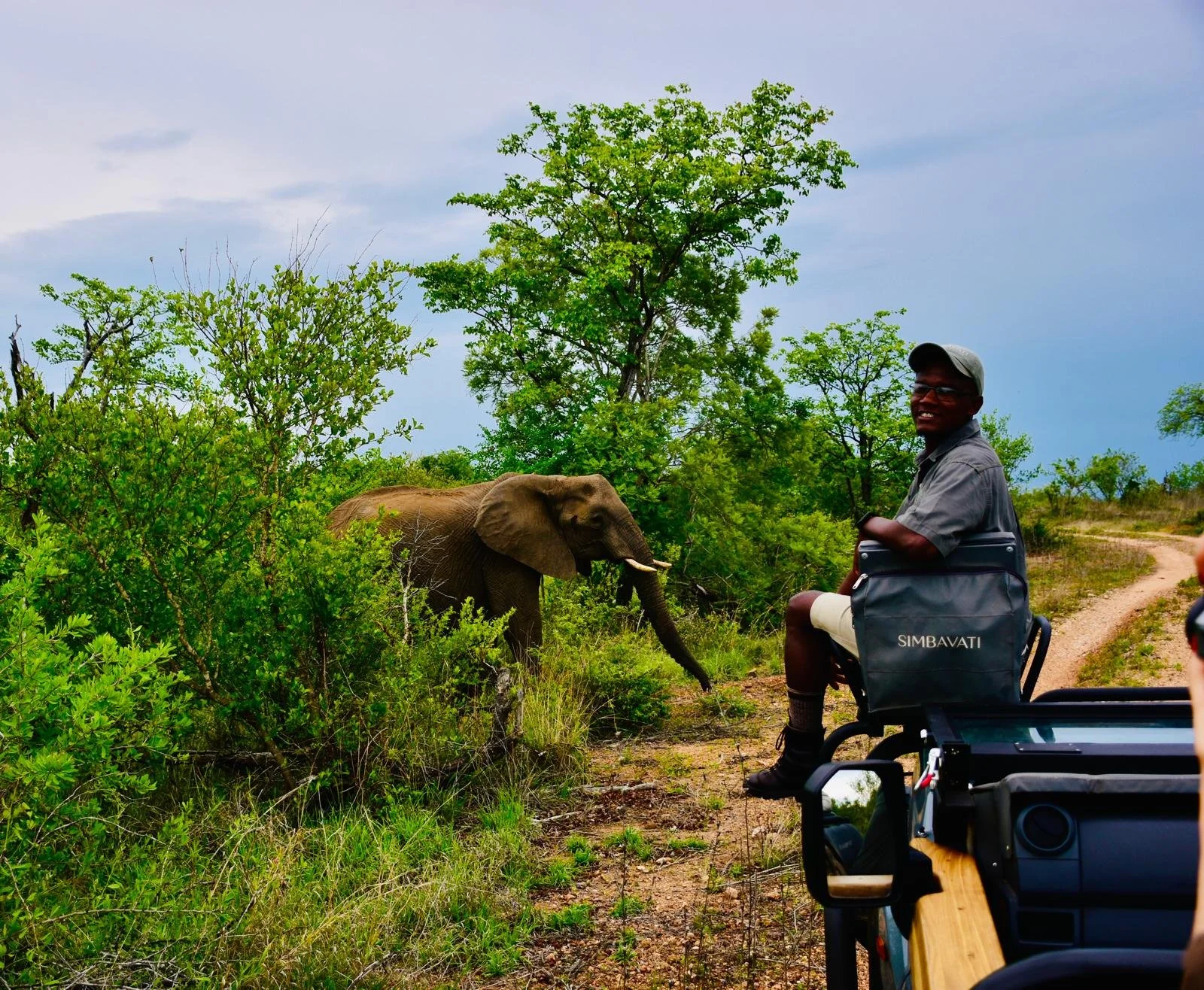 a safari tracker on the front of a vehicle besides an elephant