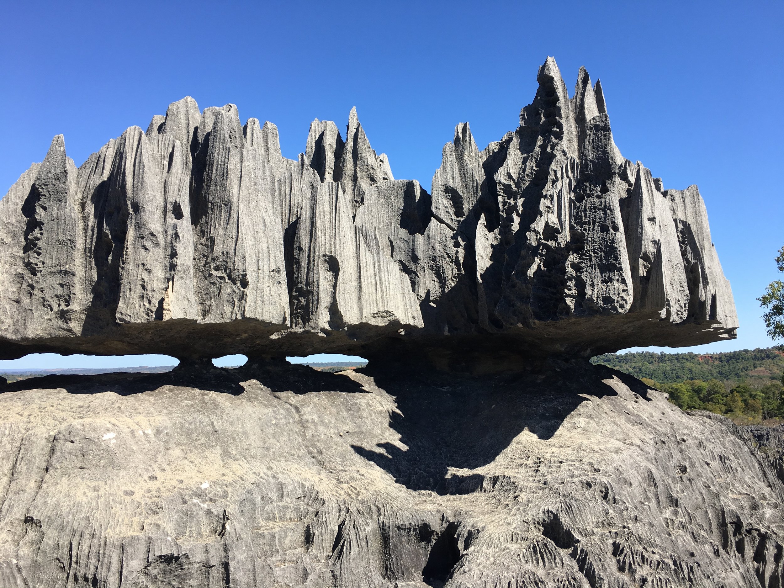 A detail of the Tsingy - Madagascar's spiny limestone landscape