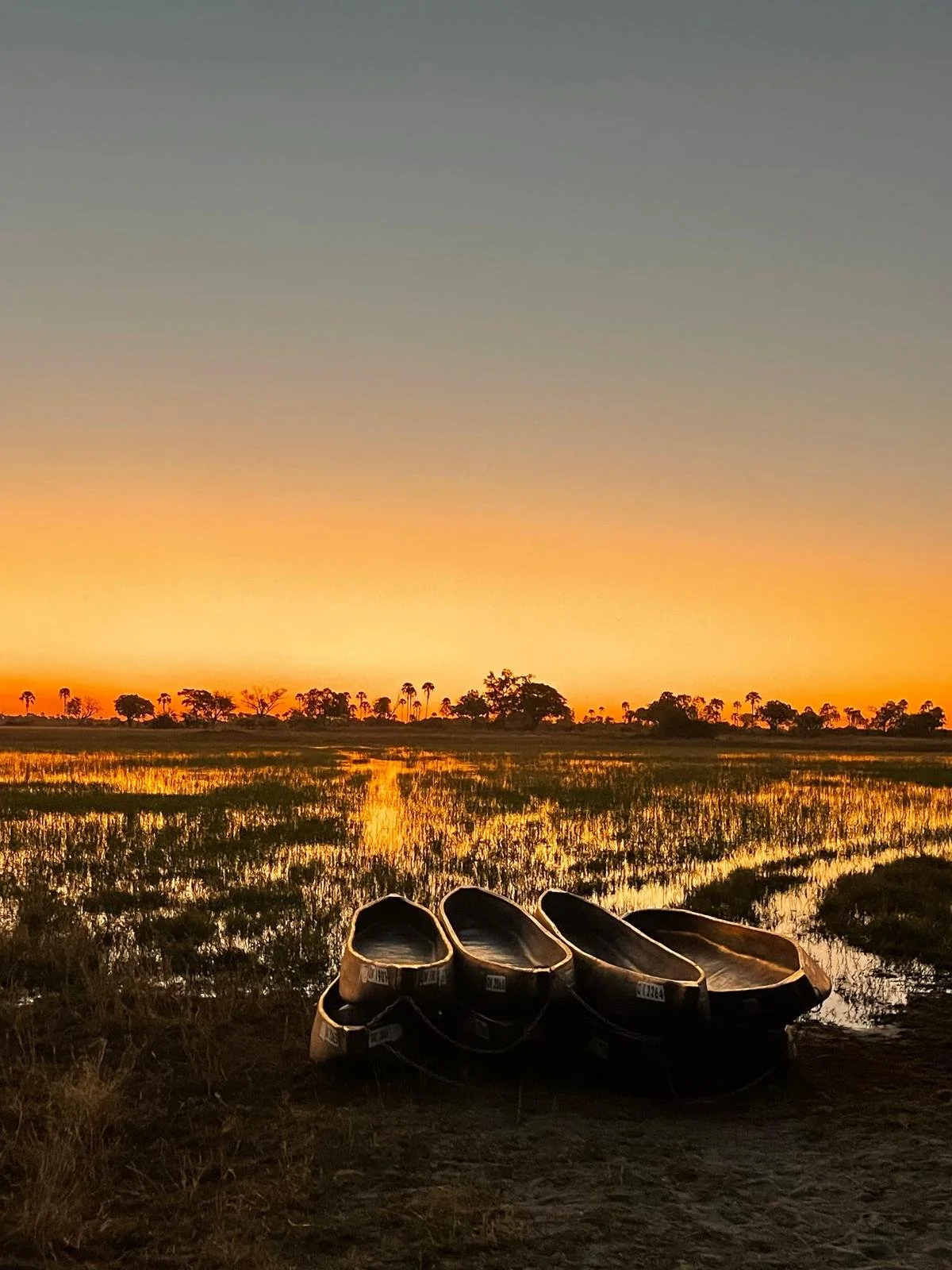 dug out canoes in front of setting sun