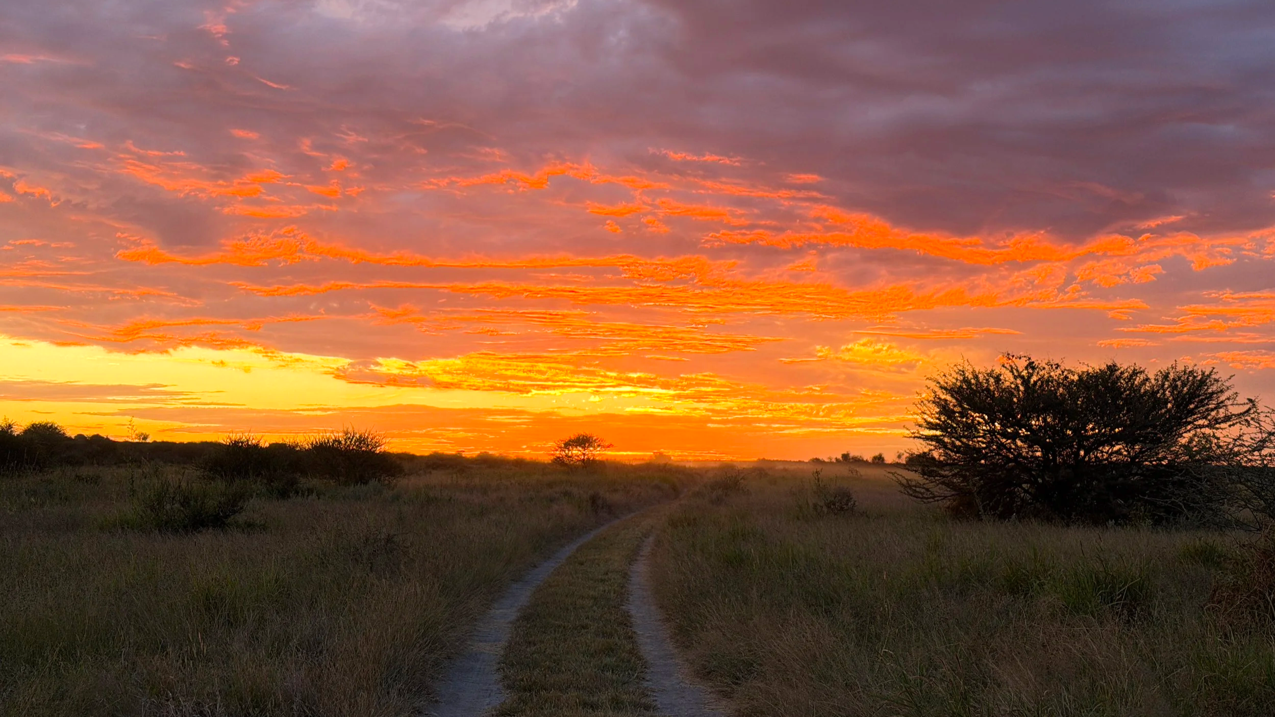 a vivid sunset over the kalahari in Botswana