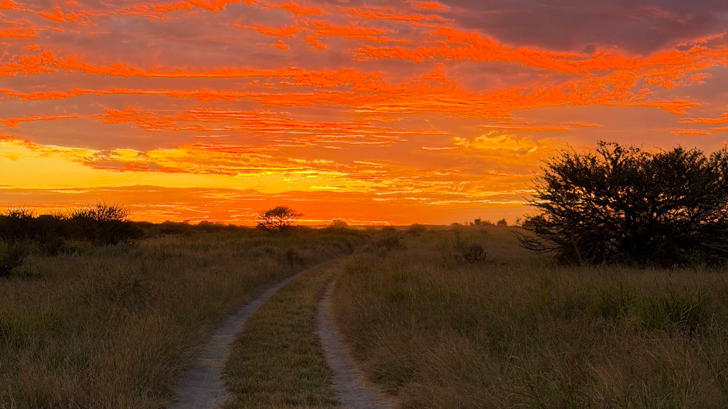 a vivid red sunset sky over a sandy track in Botswana's Kalahari desert