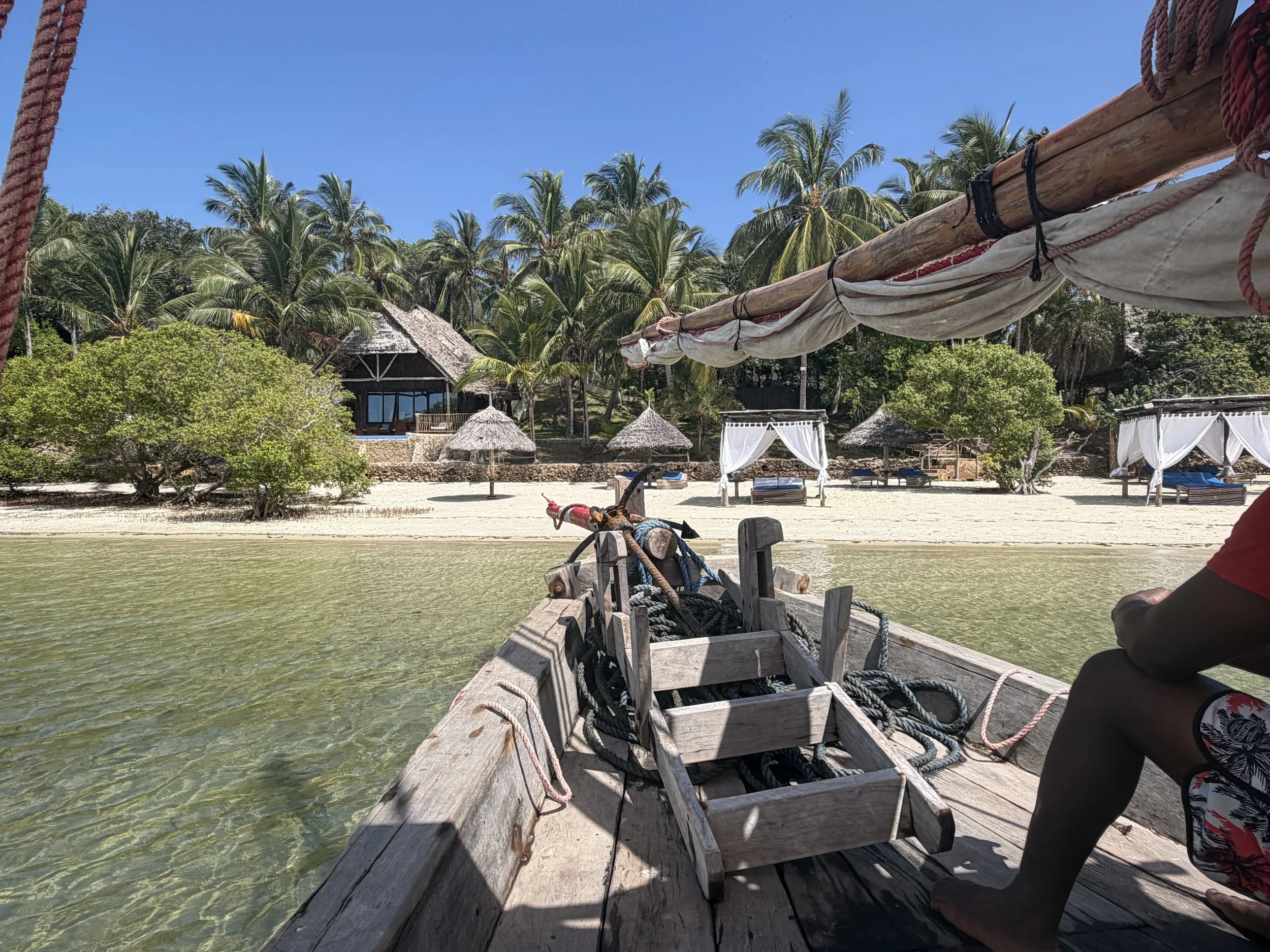 A view of a beach on Mafia Island surrounded by palm trees