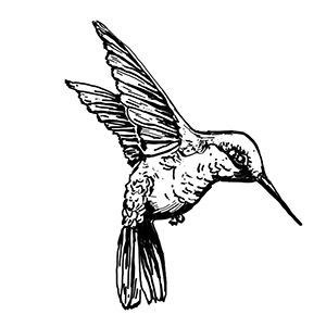 Blank white sheet of paper on a black surface