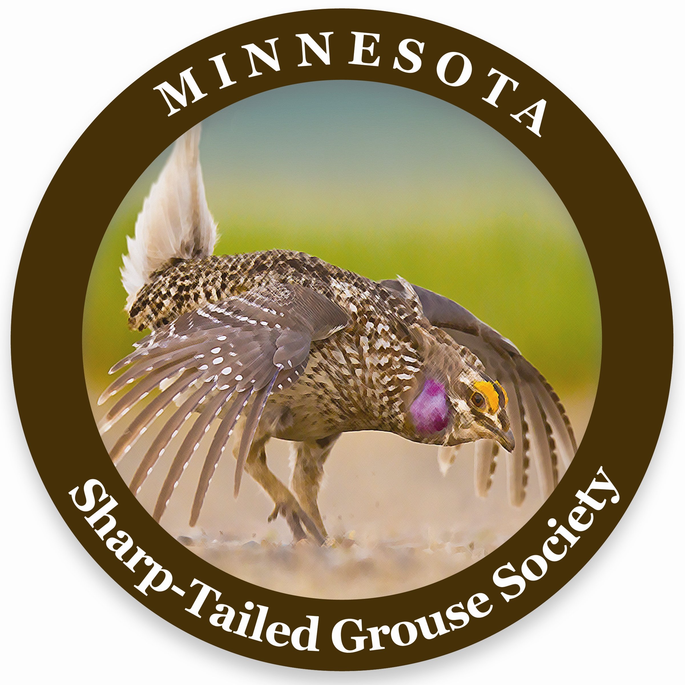 Minnesota Sharp tailed grouse society
