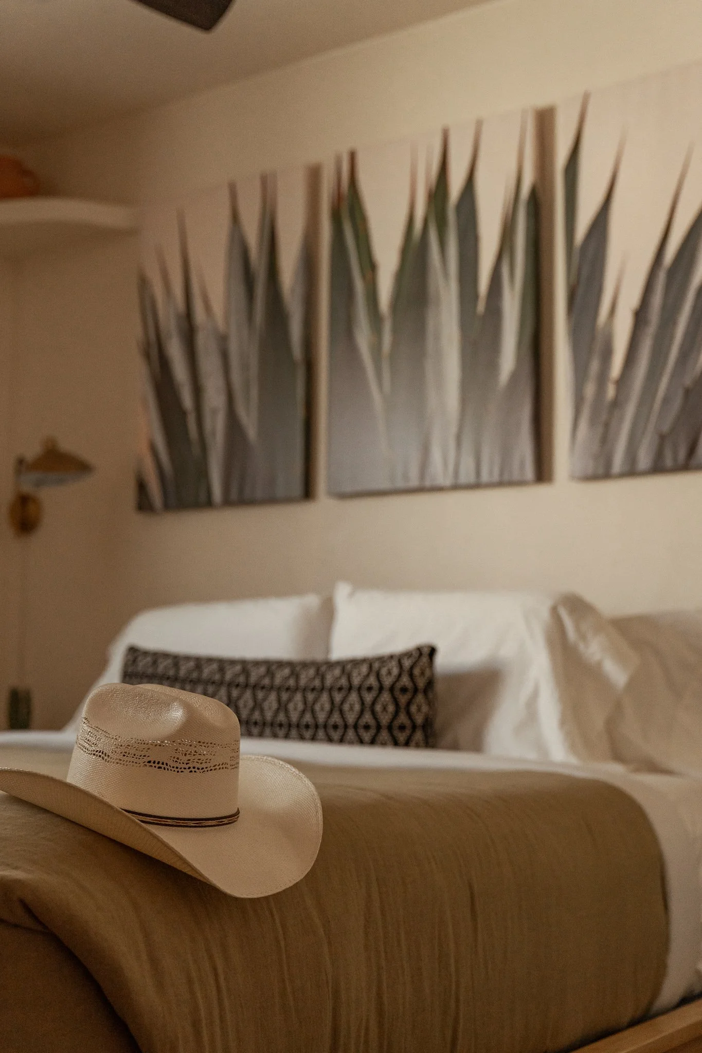 vacay-in-tucson-80.jpg