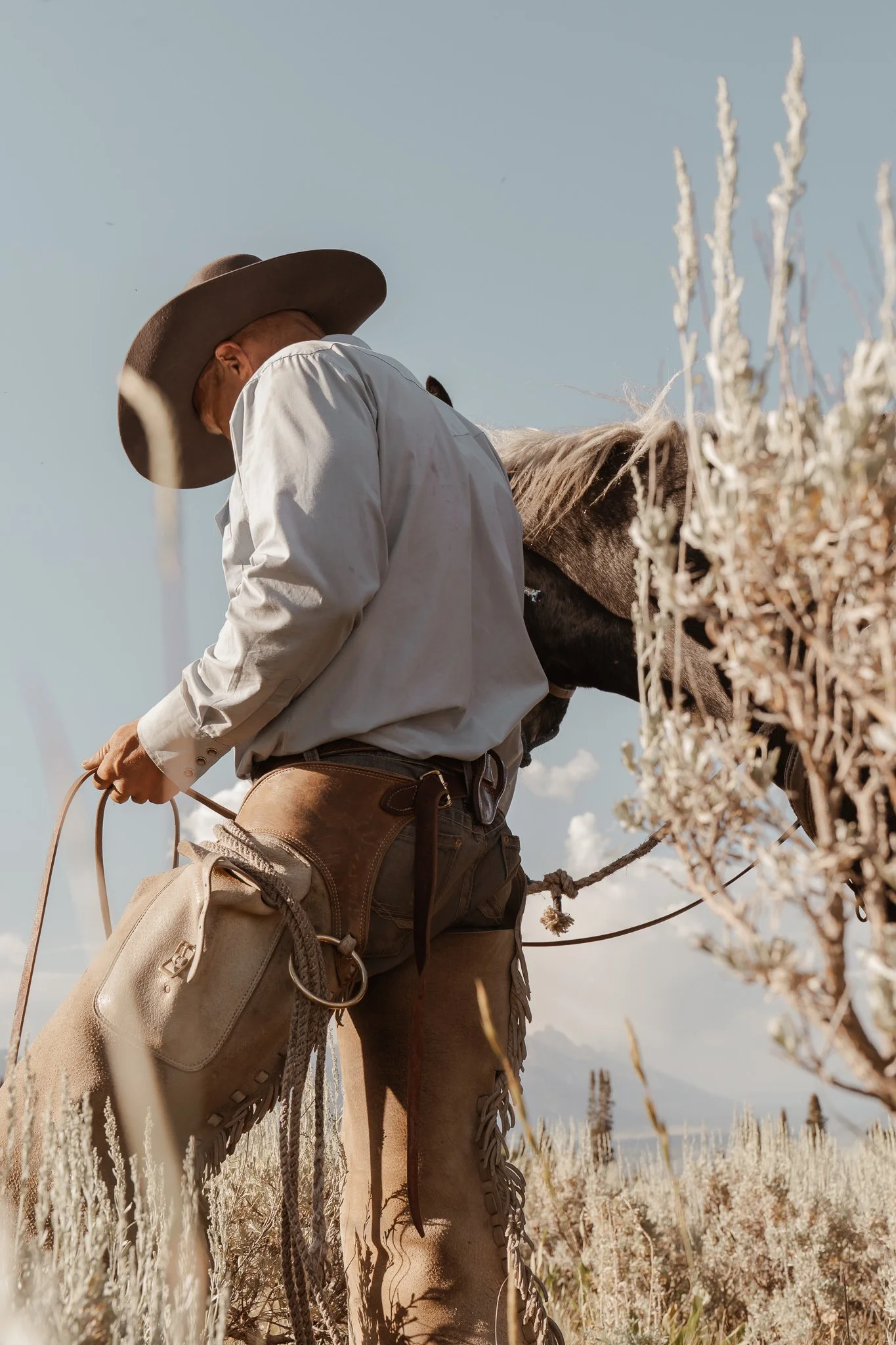 untamed-7.jpg