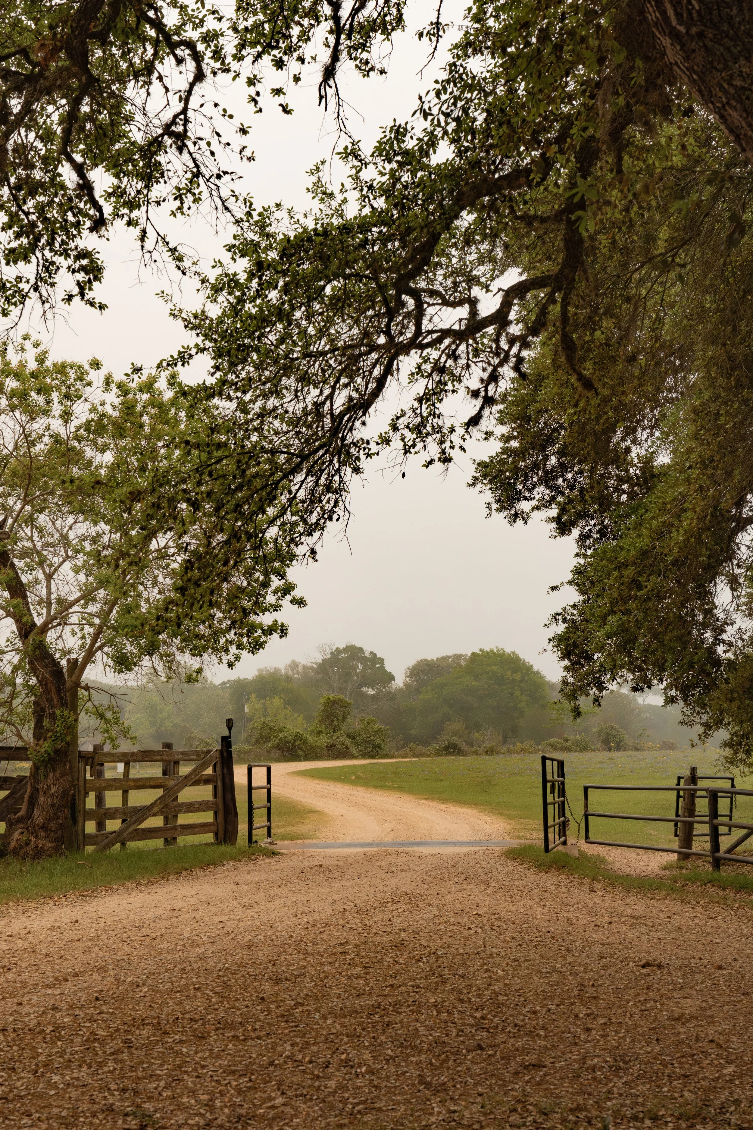 blisswood-ranch-3.jpg