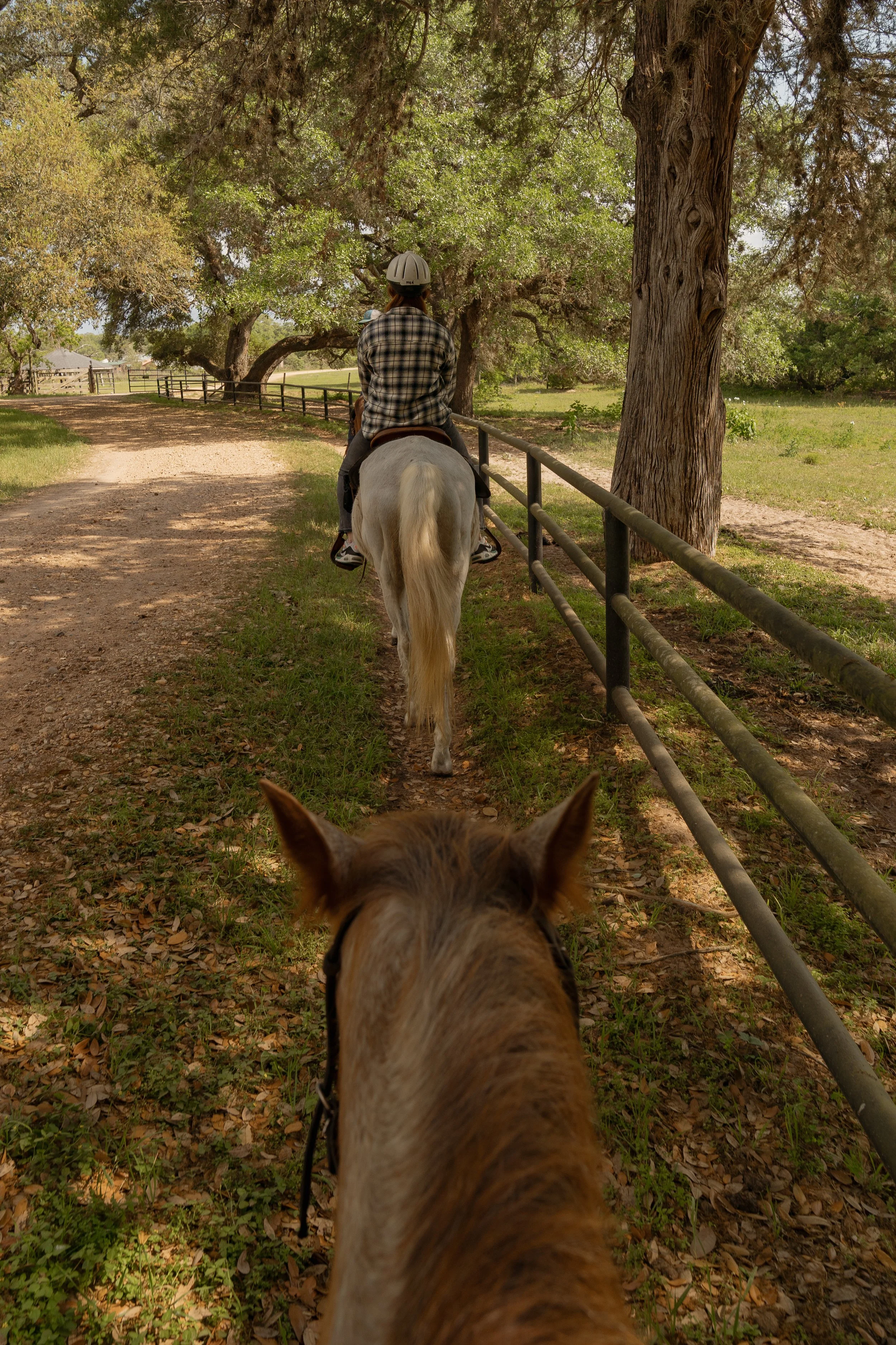 blisswood-ranch-82.jpg