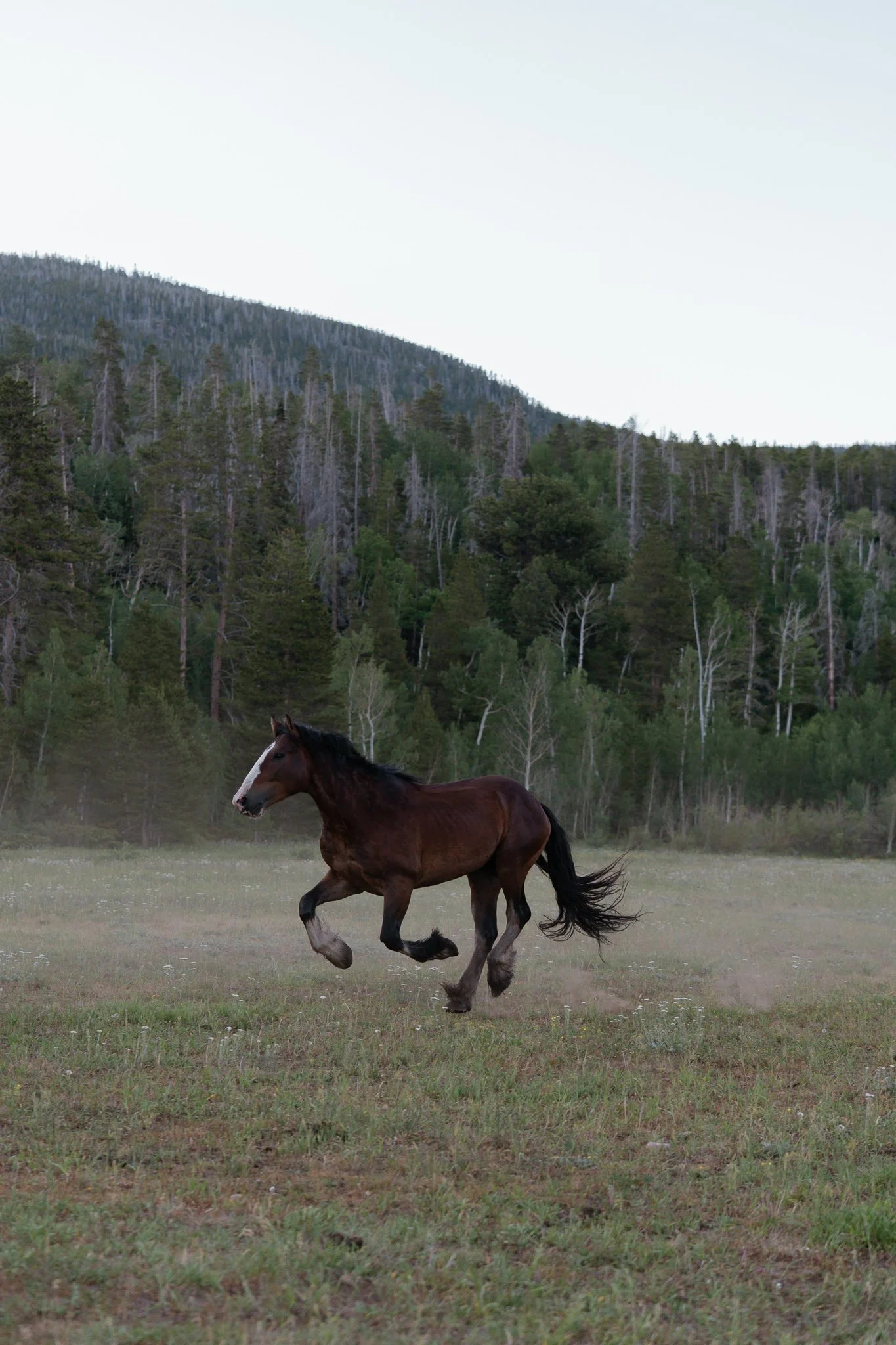 rawah-ranch-38.jpg