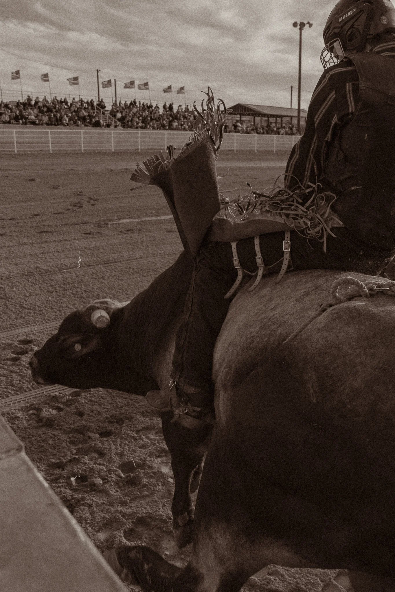 needles_rodeo_kellersnaps-14.jpg