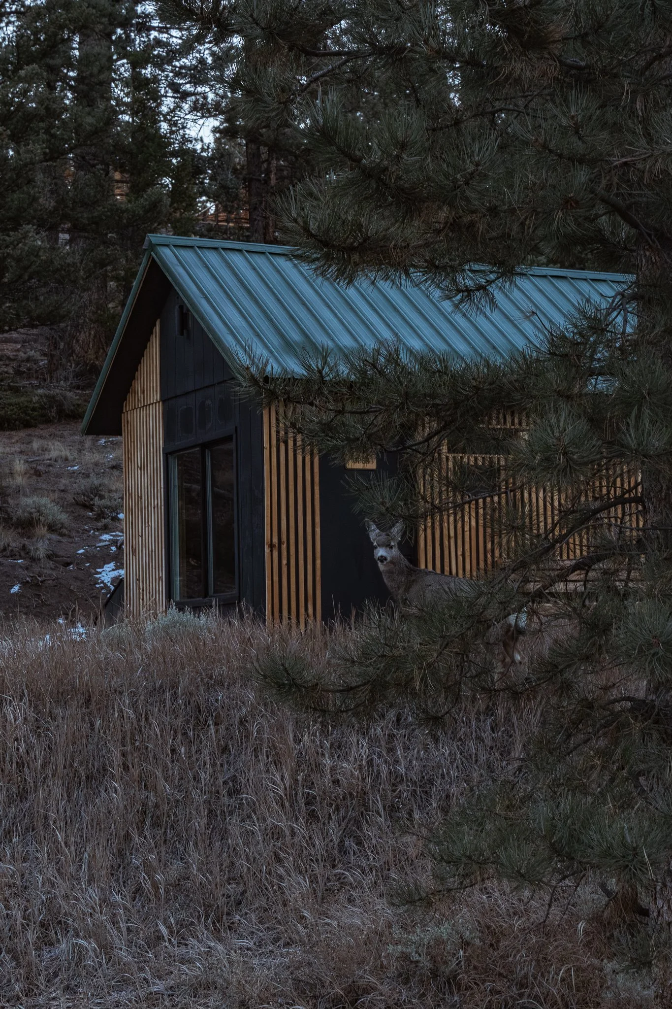 outside-inn.jpg