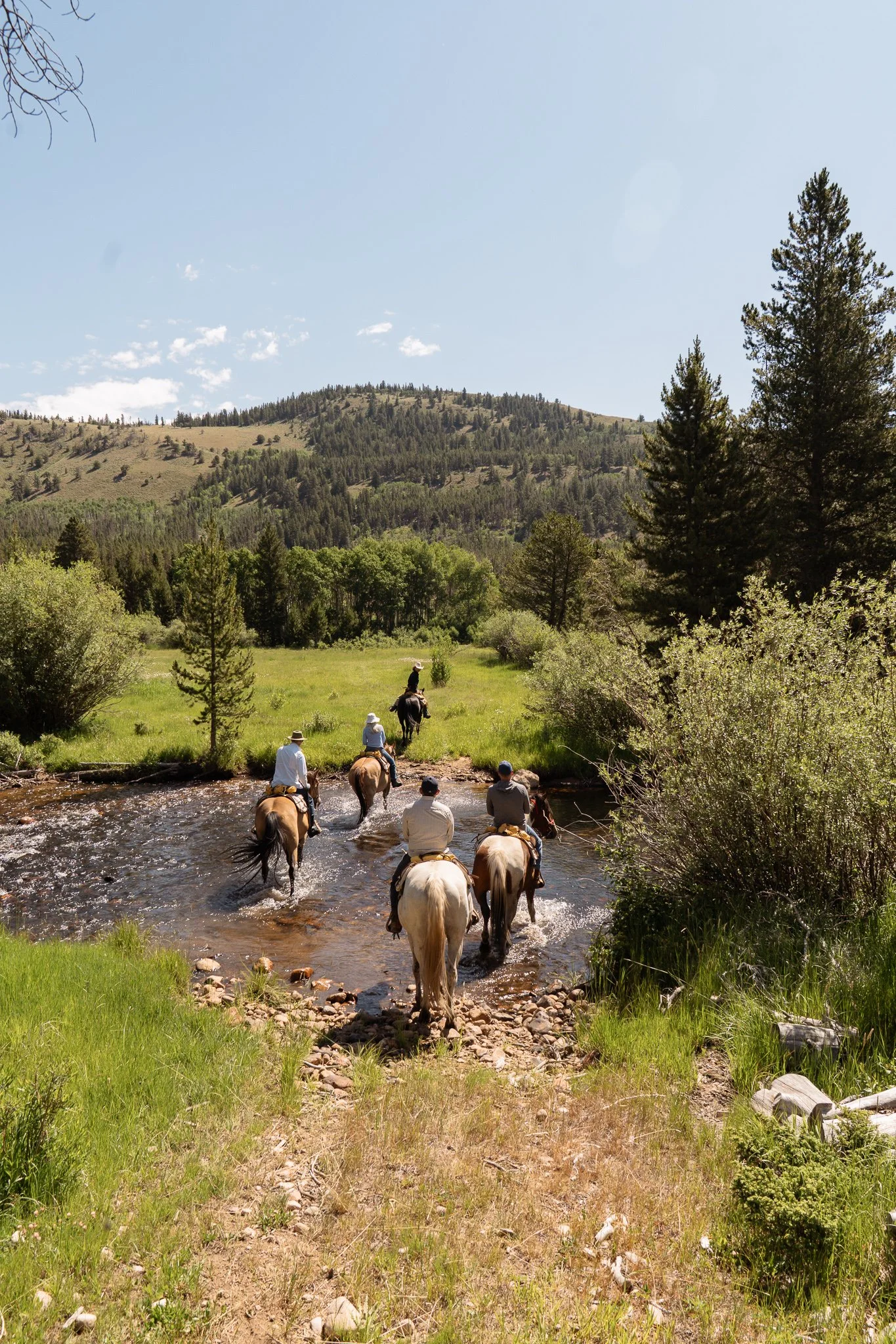 rawah-ranch-150.jpg