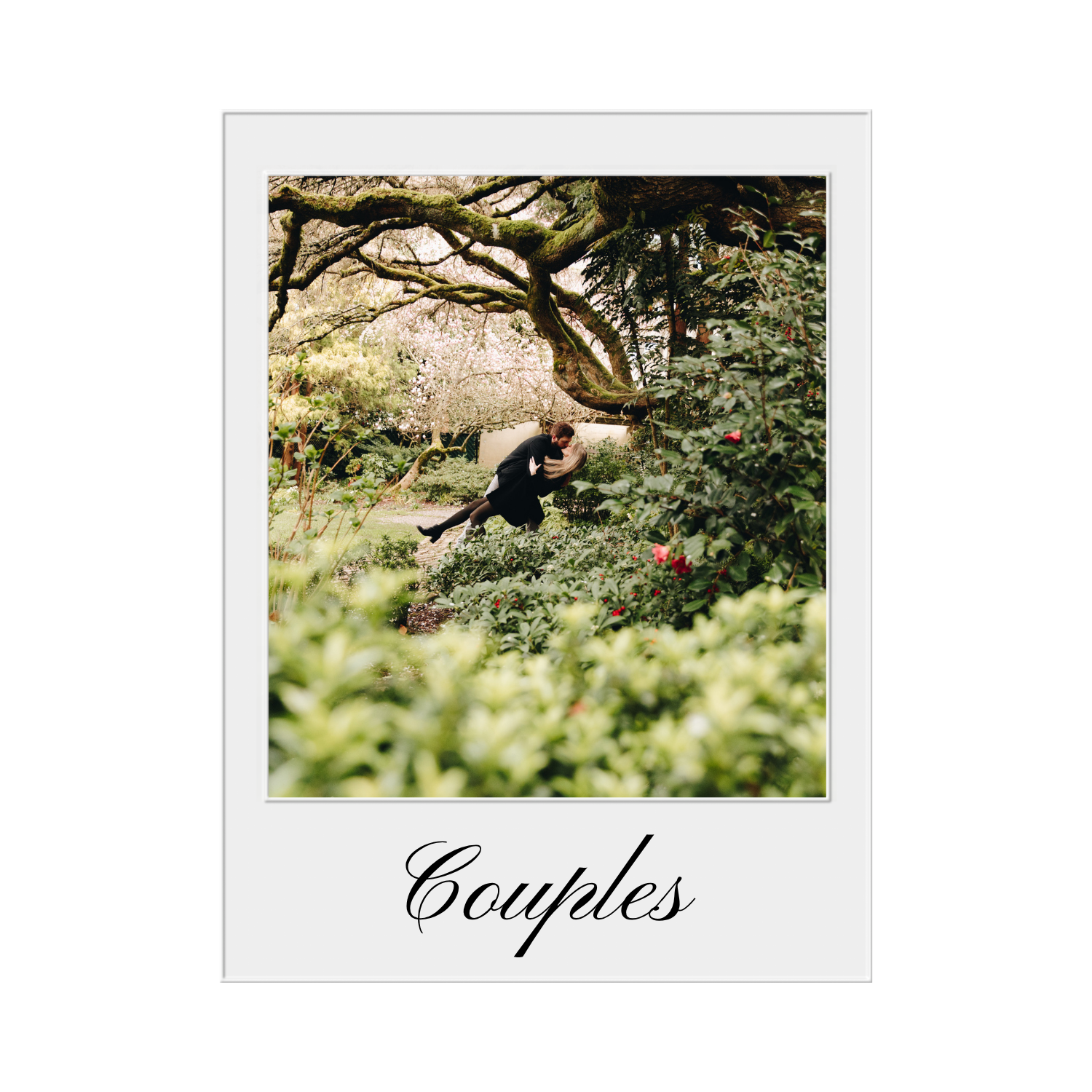 A romantic couple in formal attire kissing outdoors in a lush garden with moss-covered trees and pink blossoms, framed by a white border with the word 'Couples' written at the bottom.