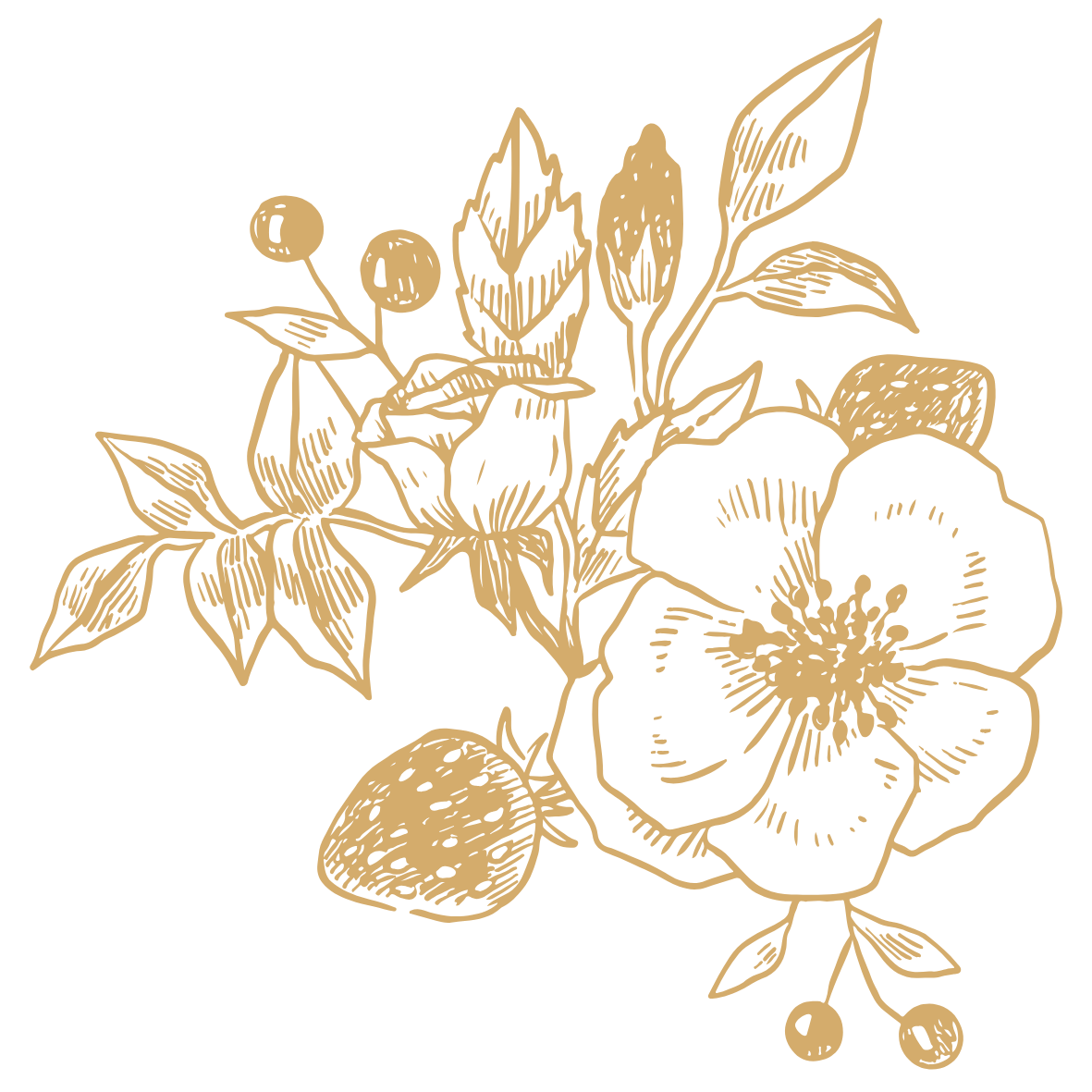 Gold floral line art illustration featuring a large flower, strawberry, and berries on a black background.