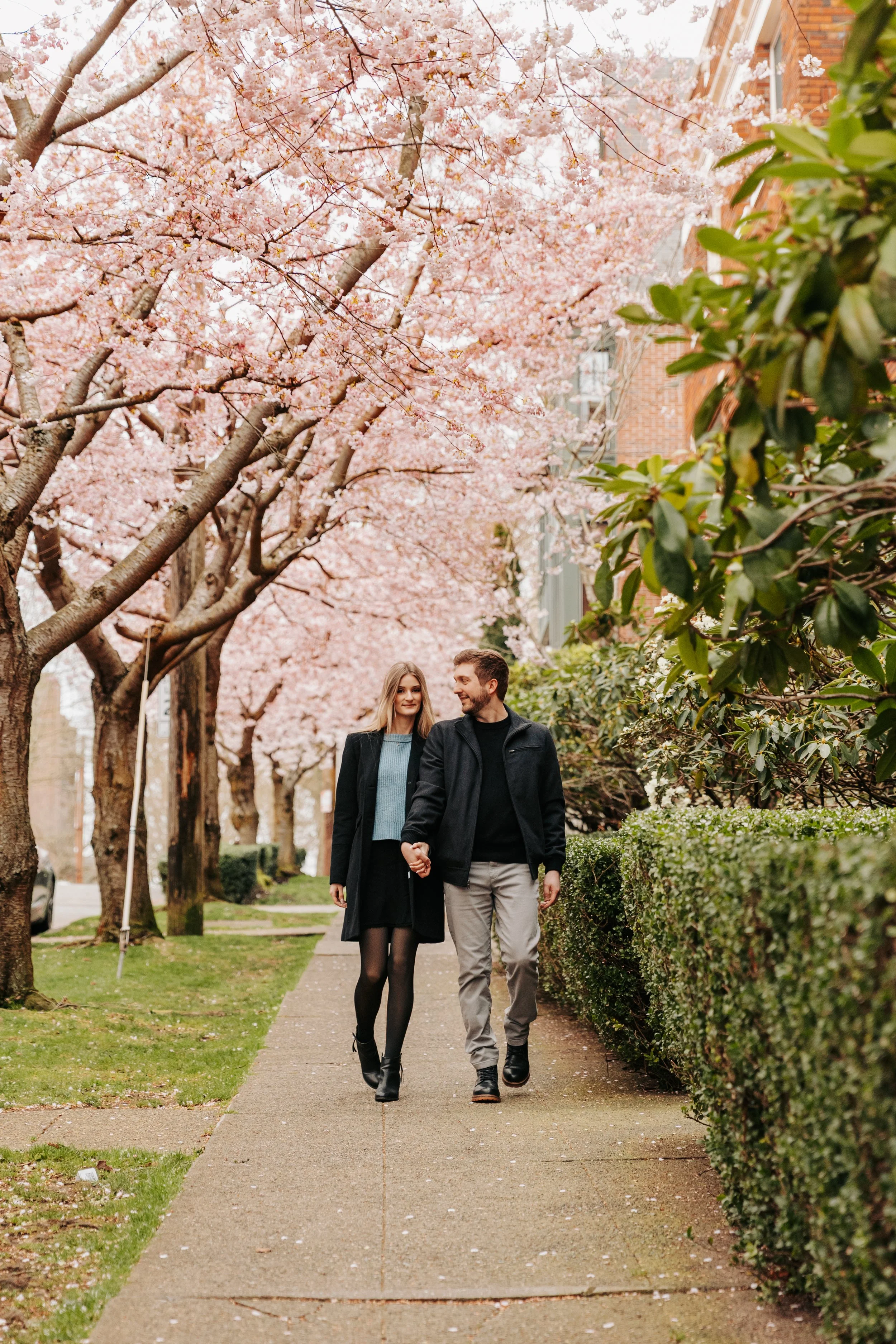A couple holding hands and walking along a sidewalk lined with pink blossom trees and green bushes.