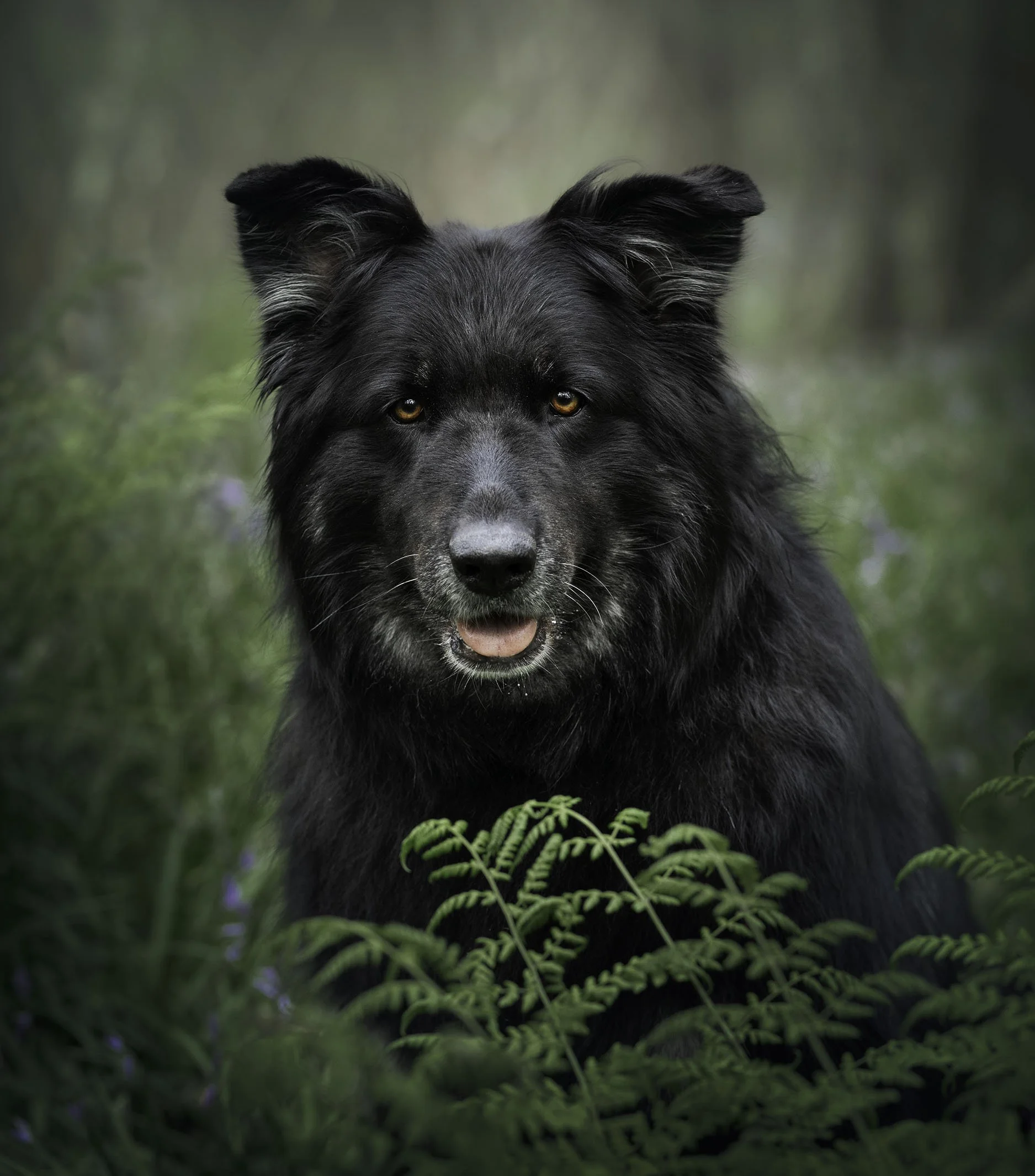 Clio greens  yellows portfolio final.jpg