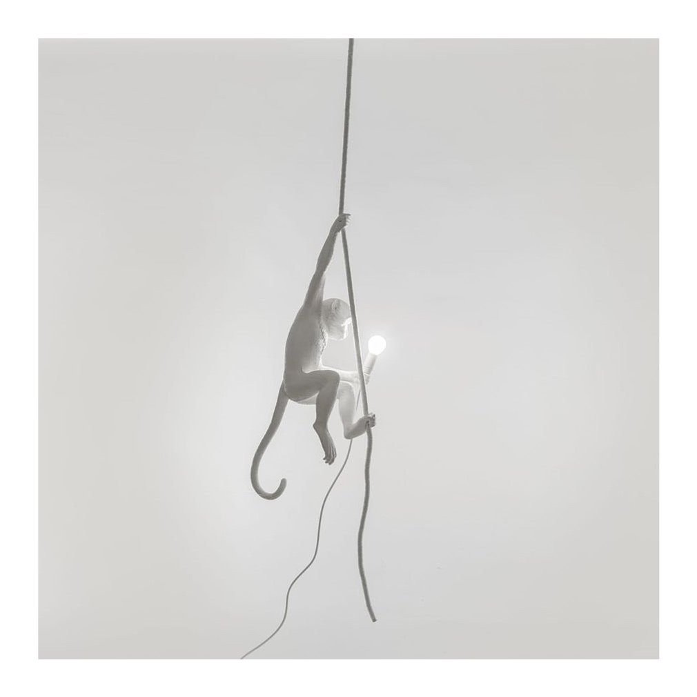 Seletti+the+monkey+lamp+ceiling+version+white+g.jpg
