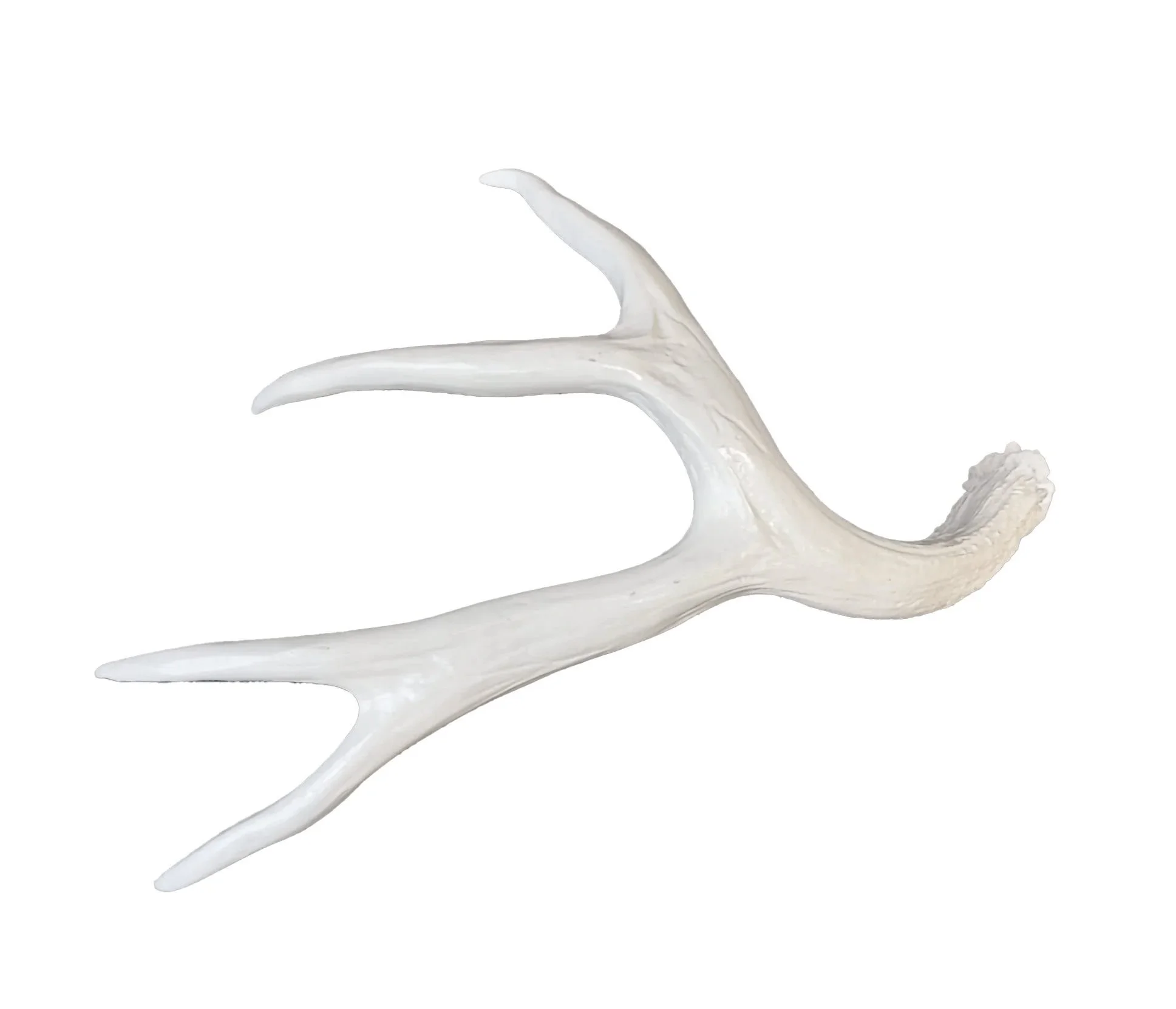 Antler+4.jpg