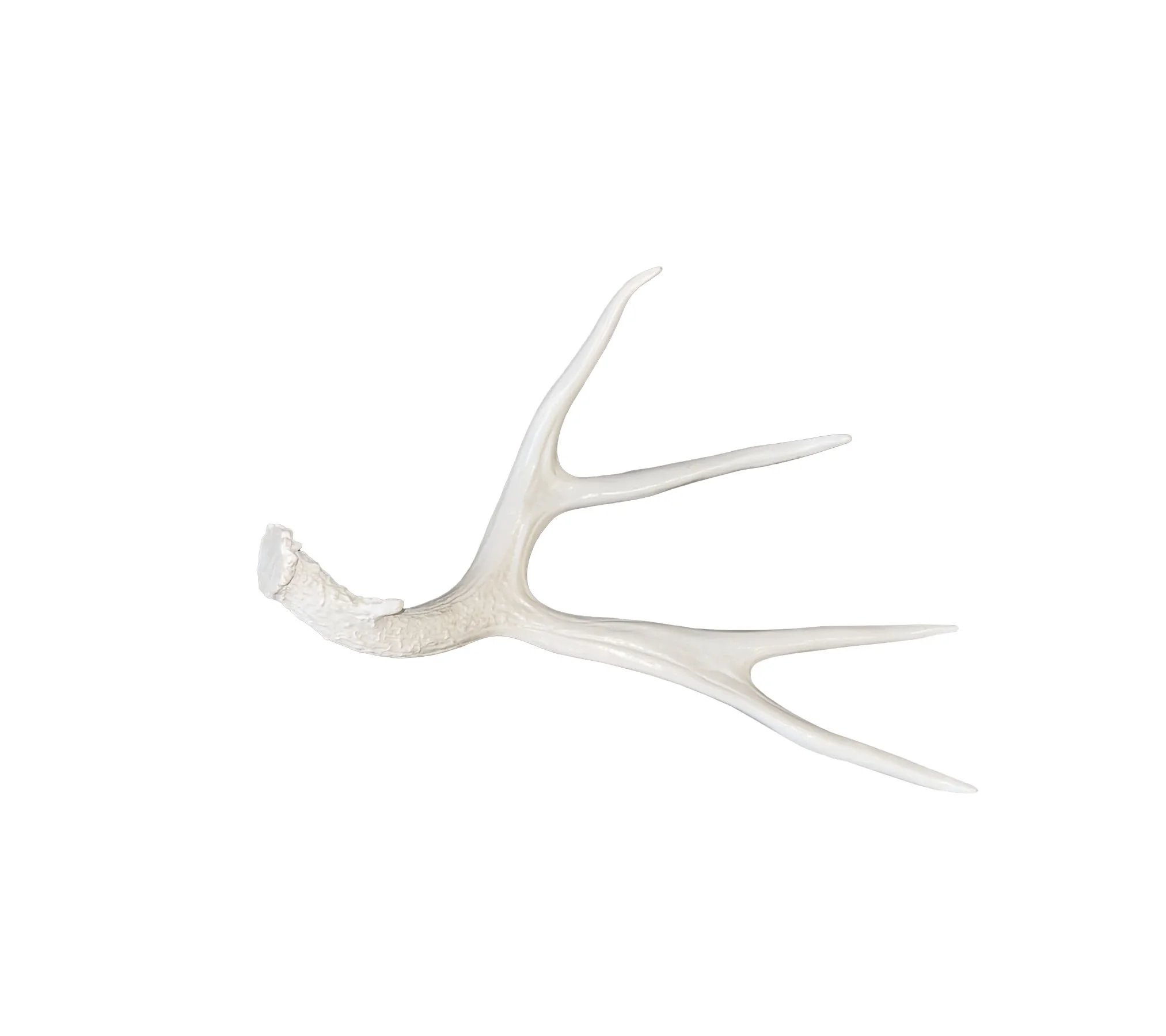 Antler 1.jpg