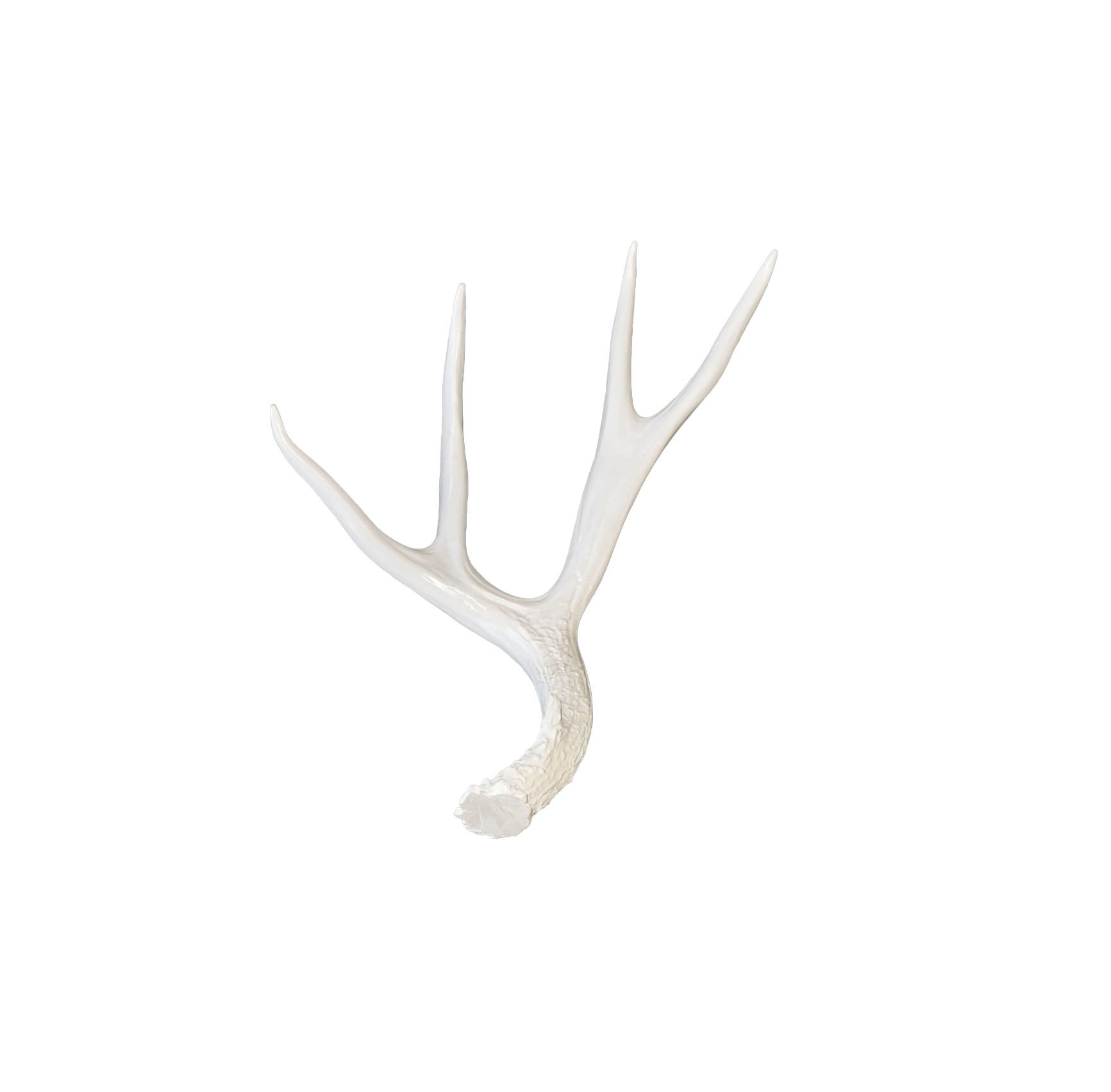 Antler 3.jpg