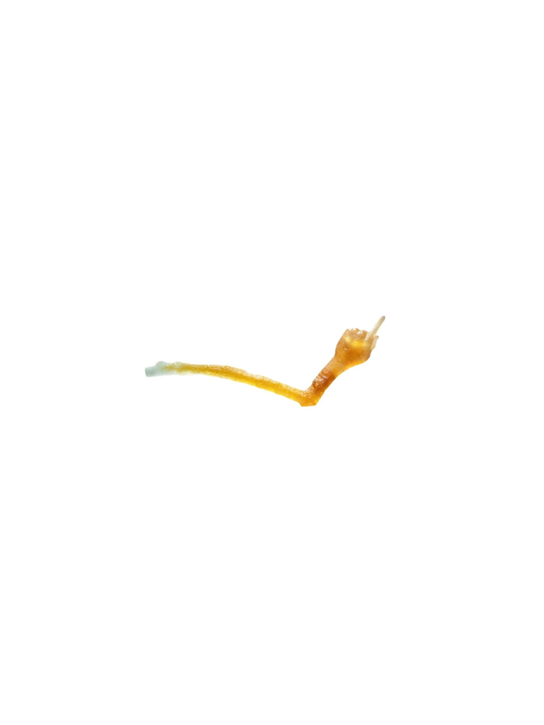 Branch%2BHand%2Bcopy.jpg