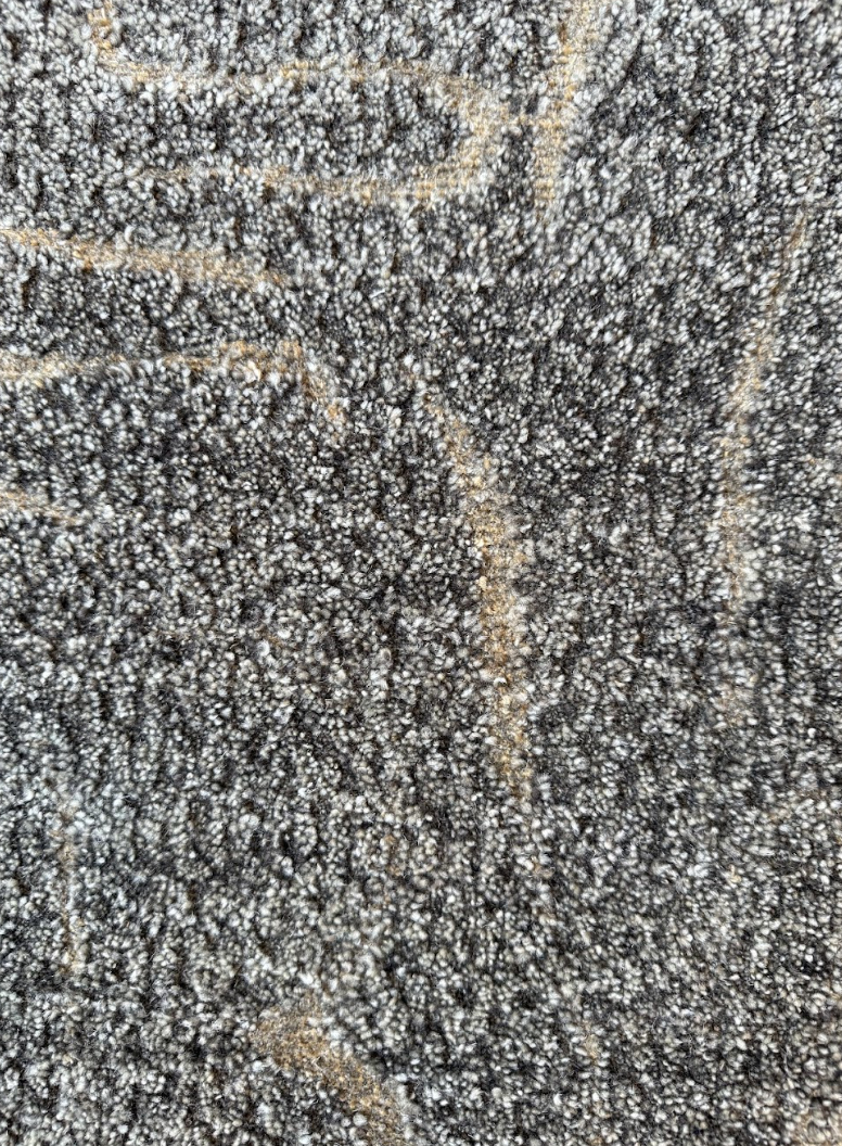 Close-up of a textured, dark-colored stone or rock surface with small, rough, white and gray granules.