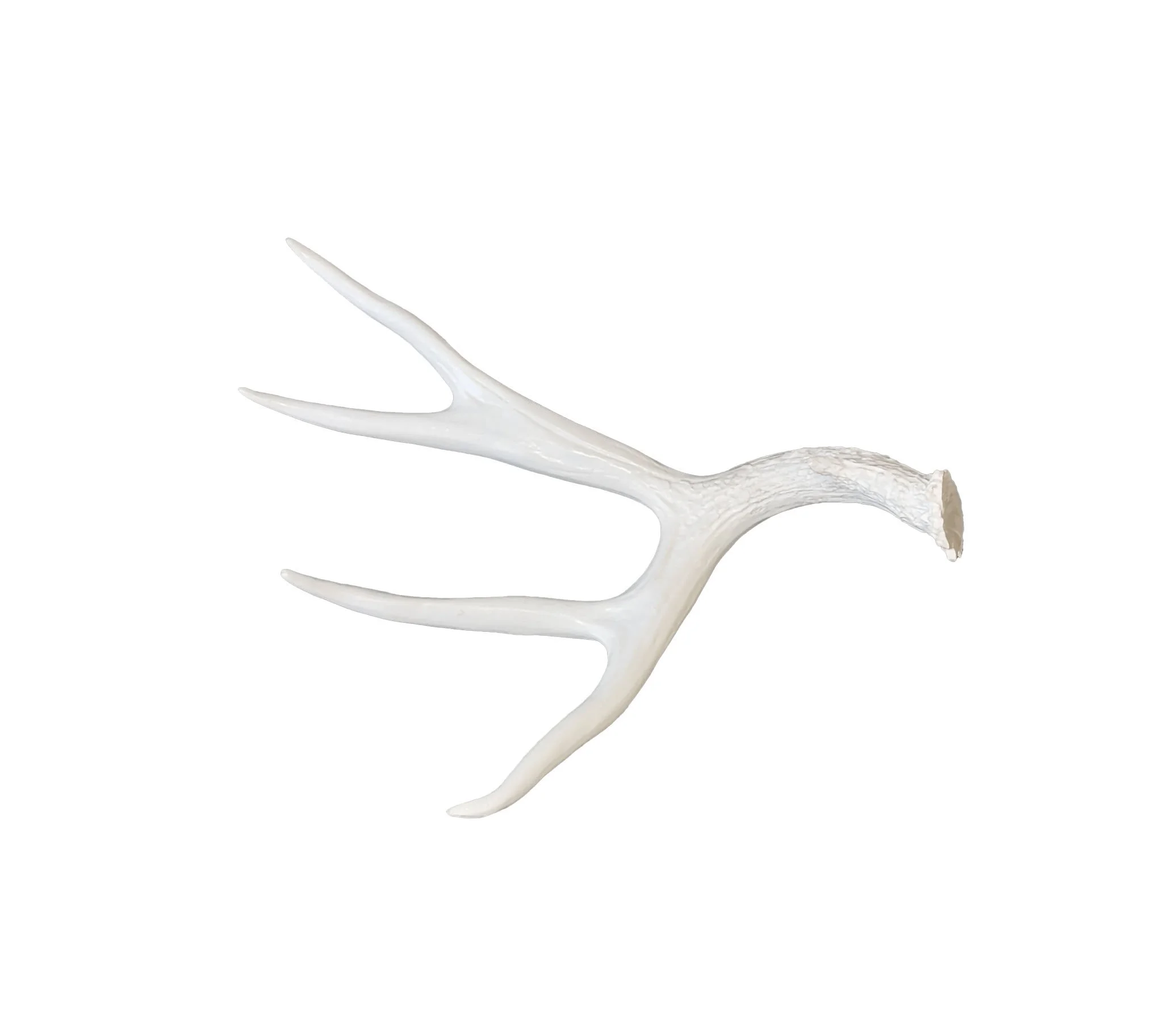 Antler 2.jpg