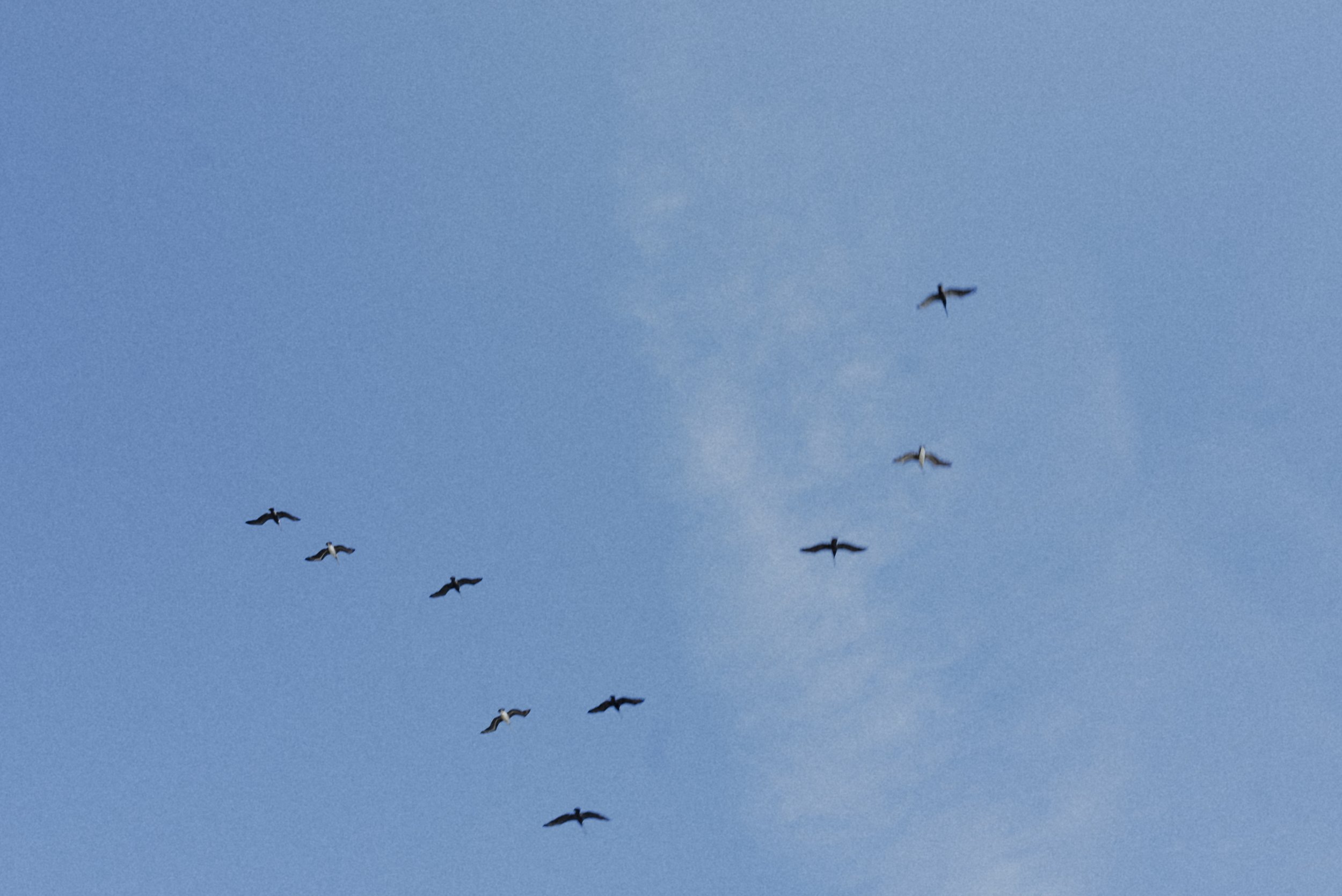 DSC08183.jpg
