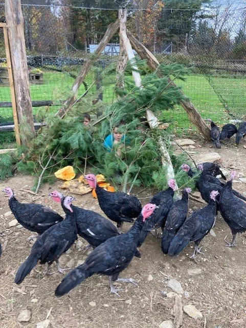 2022 yfp turkeys and kids.jpg