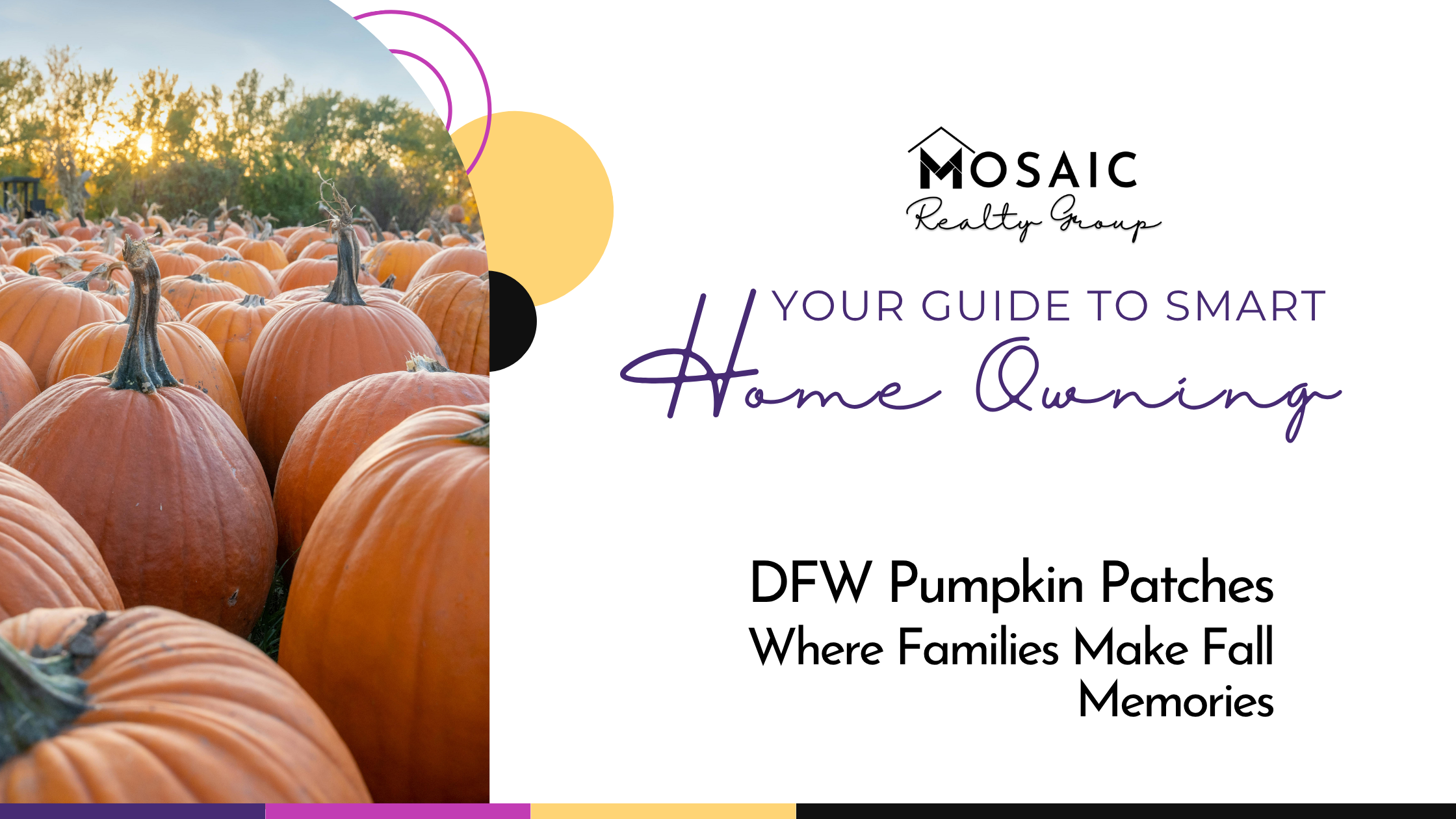 DFW Pumpkin Patches 2026