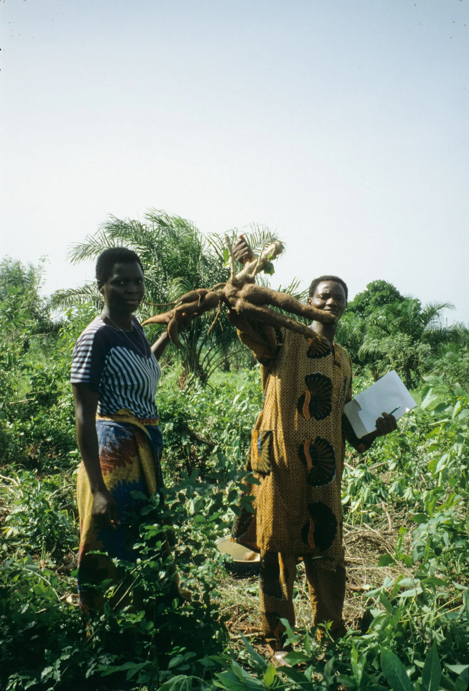 Archival photo of Elizabeth and Kantos with one of the group’s good harvests, 1990. 