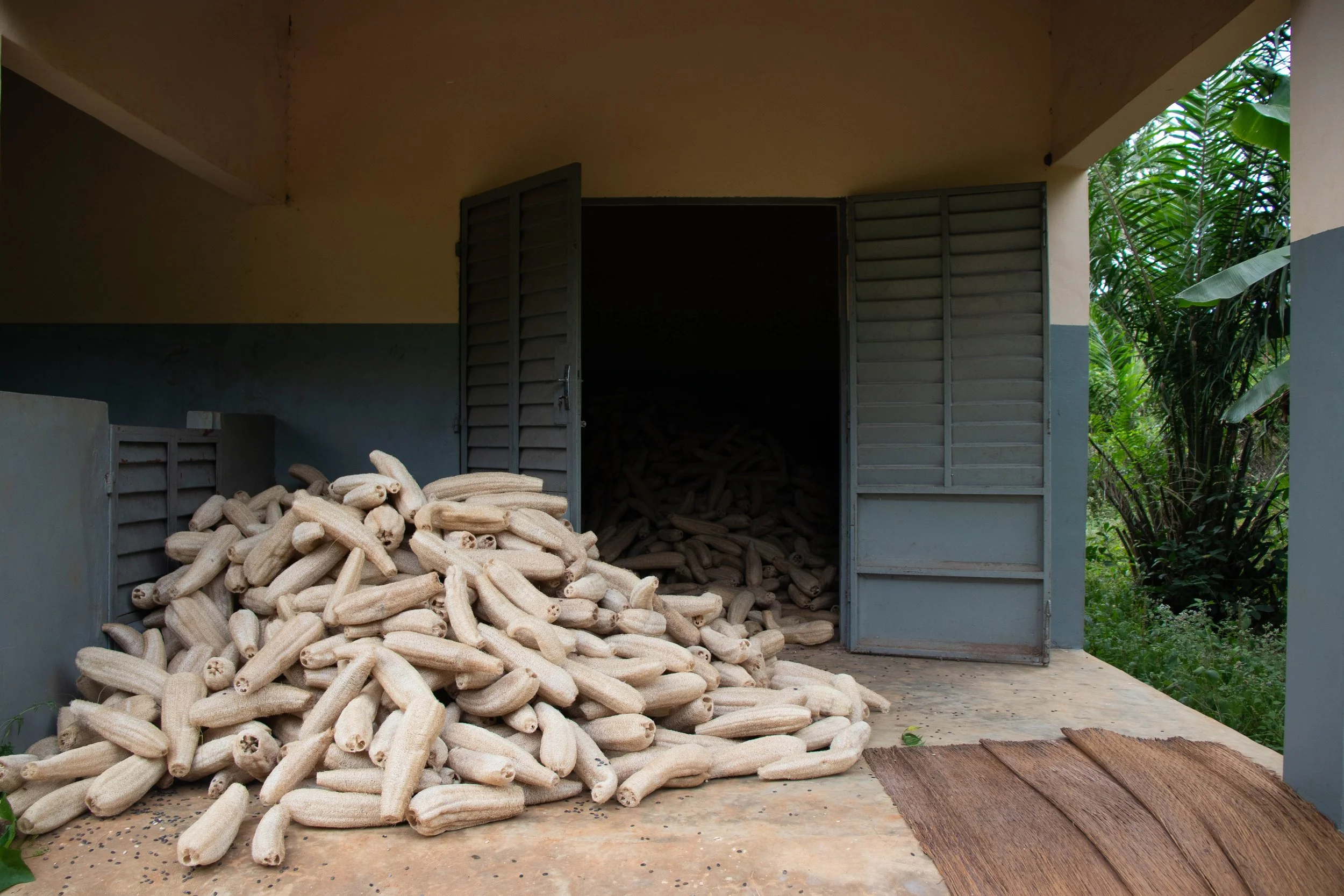 Designated storage place for loofah, August 2024.