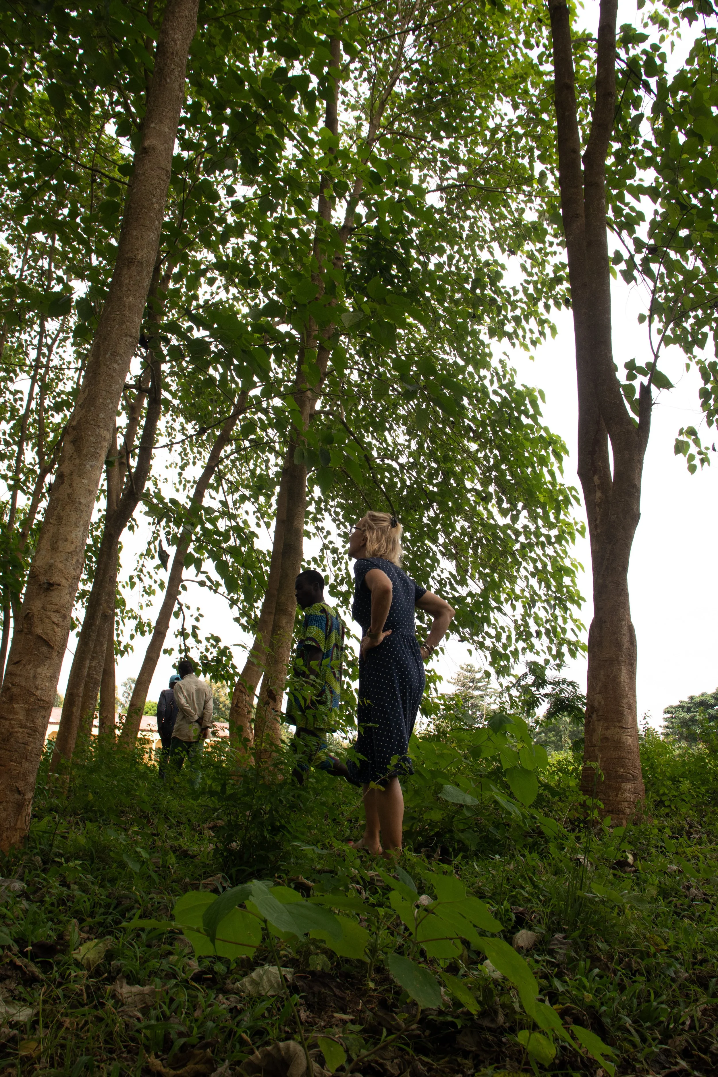 Elizabeth observes the field of more mature trees, August 2024.