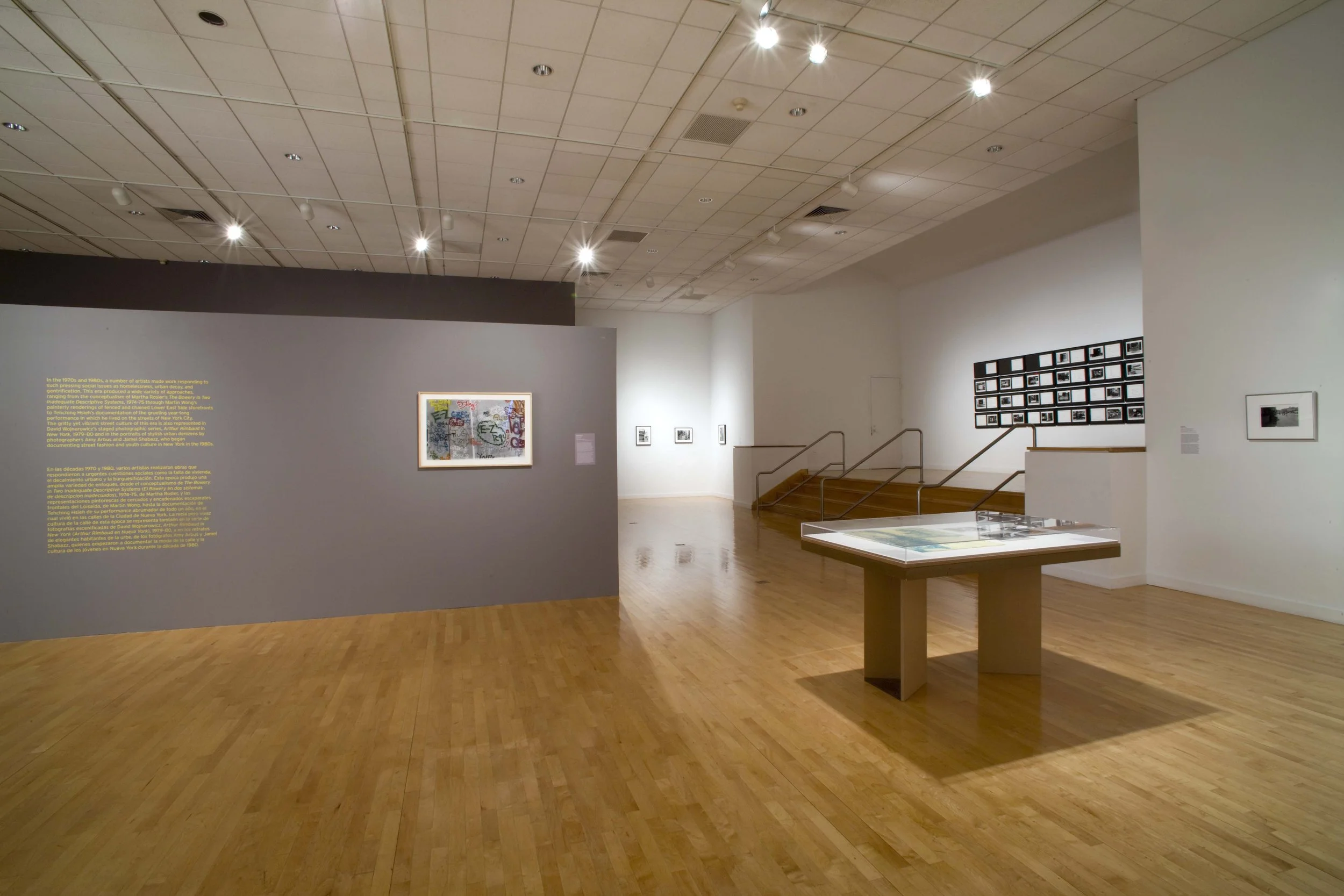 Guy Willey Design Bronx Museum SASL 02.jpg