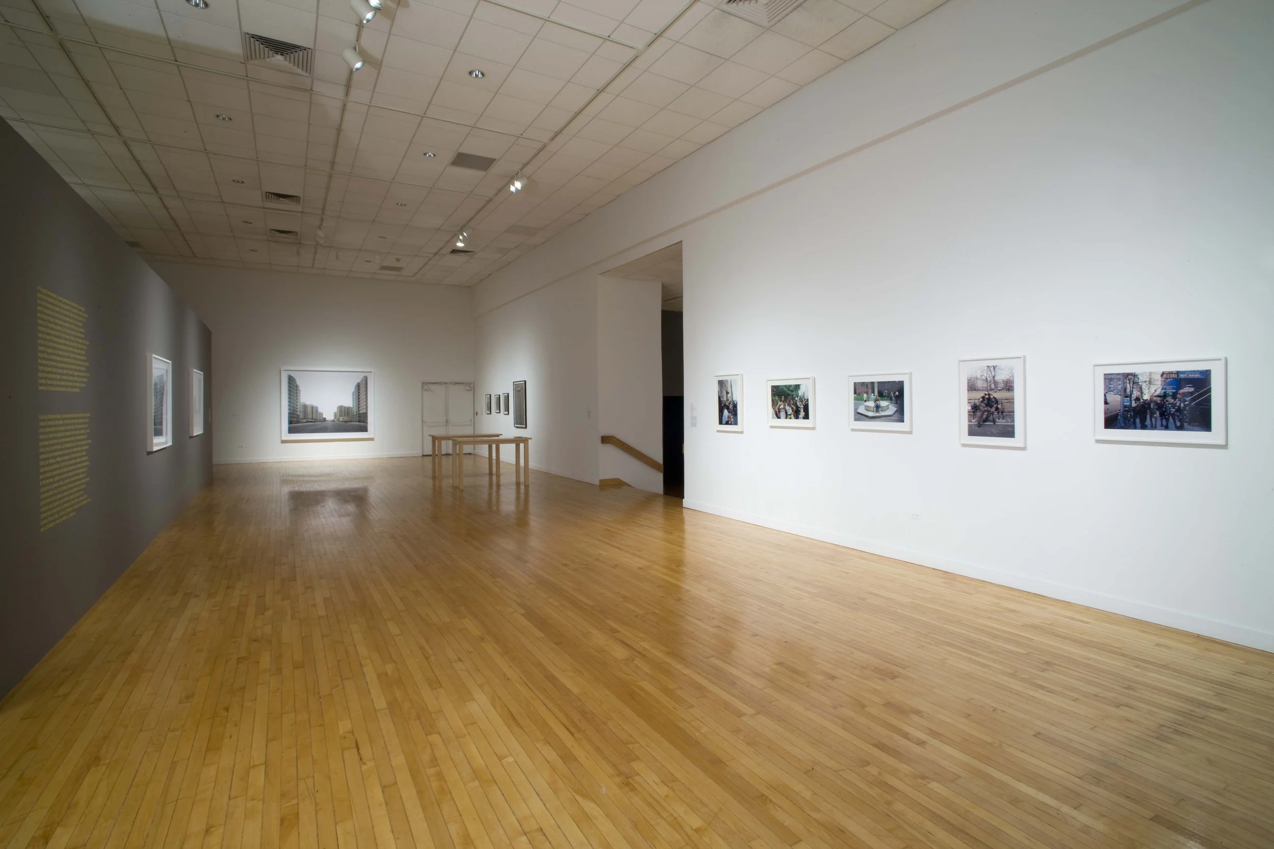 Guy Willey Design Bronx Museum SASL 03.jpg