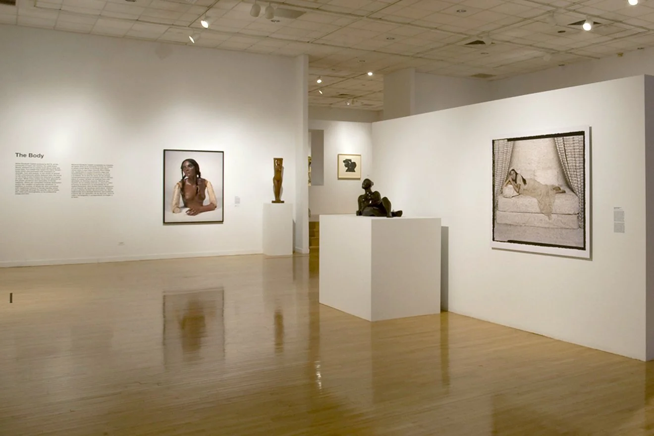 Guy Willey Design Bronx Museum Stargazers 01.jpg