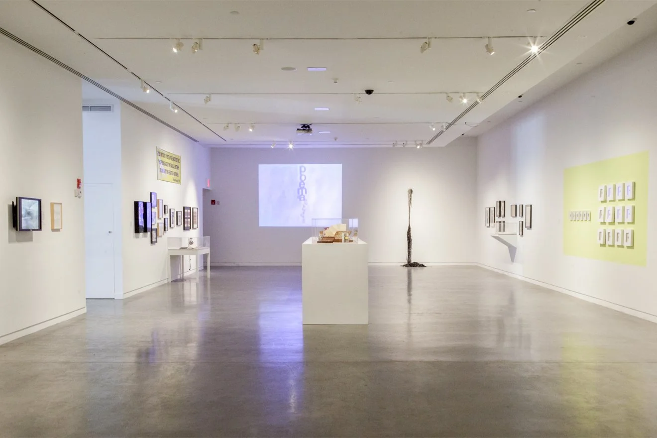 Guy Willey Design Bronx Museum Paulo Bruscky 04.jpg