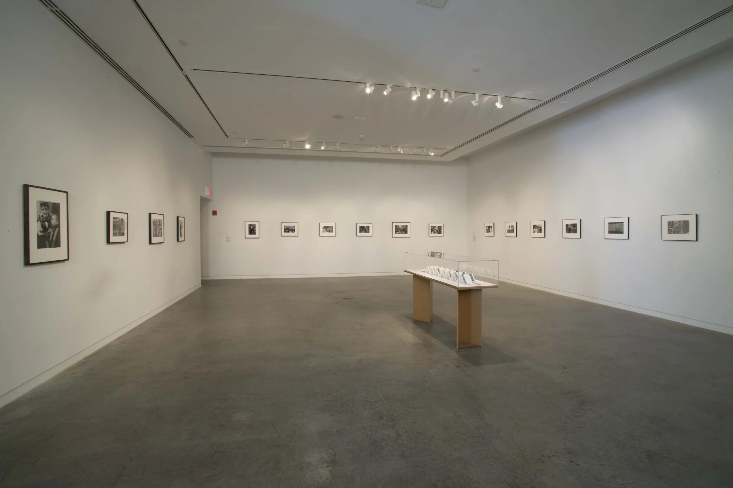 Guy Willey Design Bronx Museum SASL 05.jpg