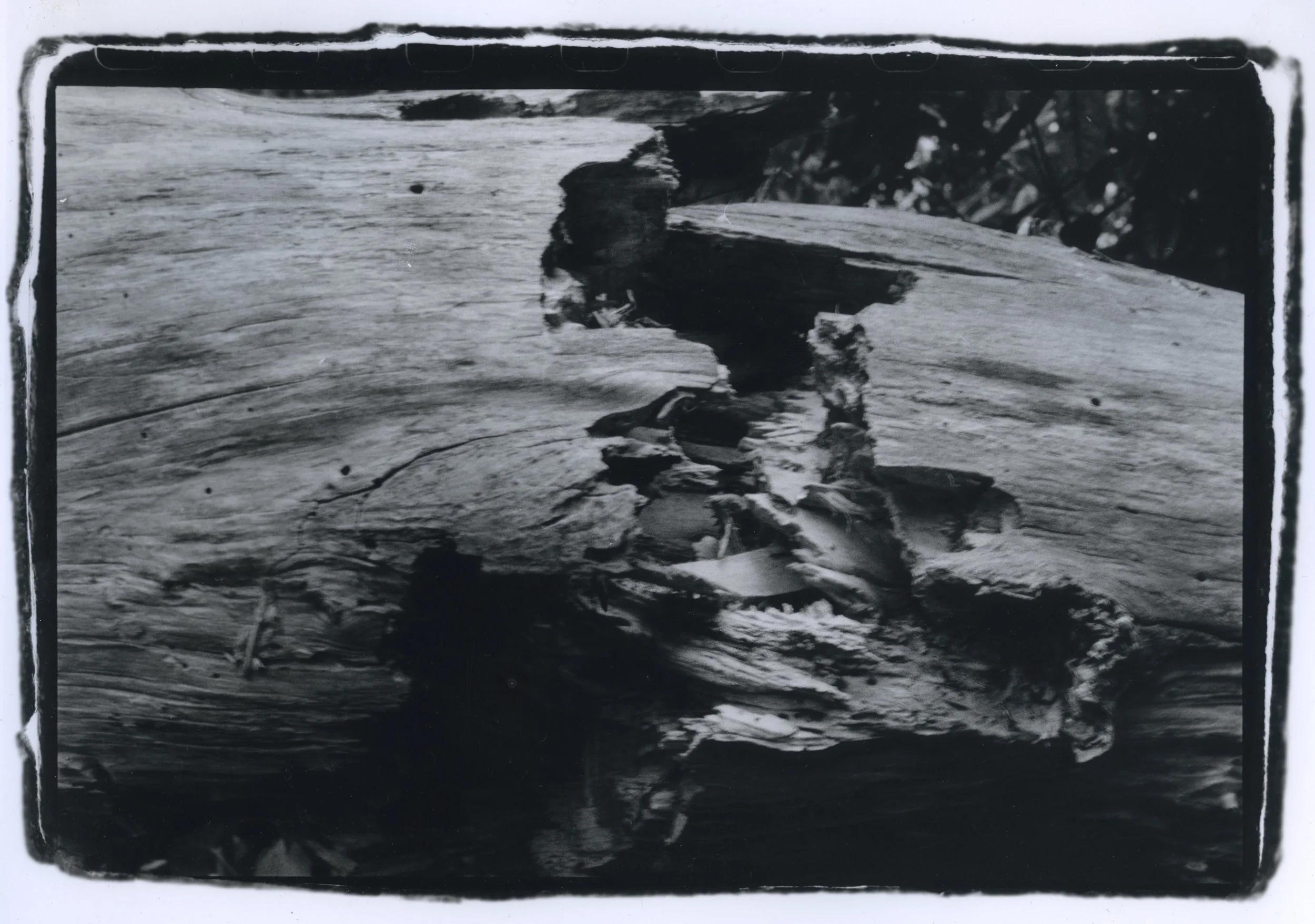 Tadhg Kinsella - Darkroom film photography 1.jpeg