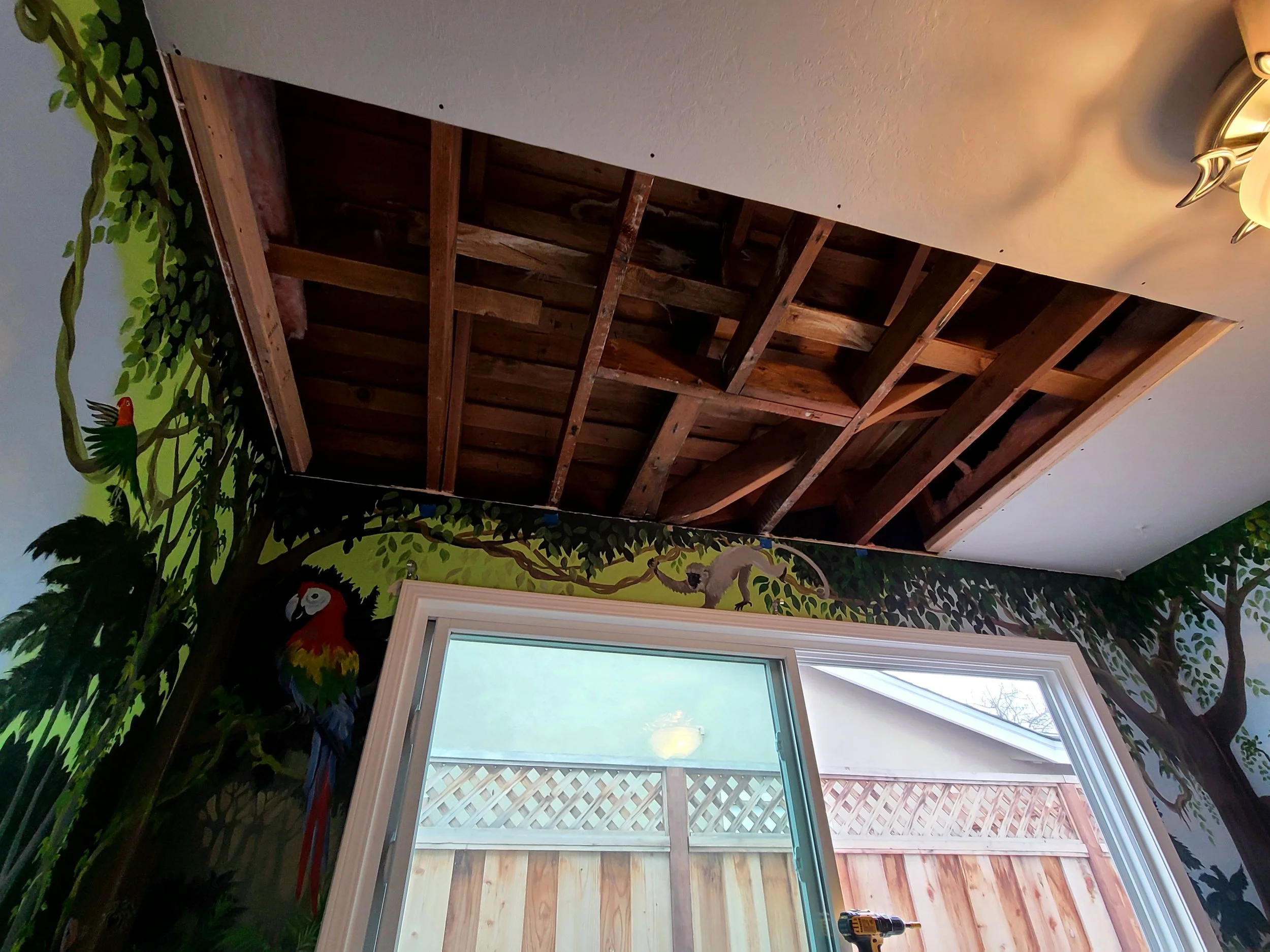 Water leak damage patch in Campbell , Ca. 