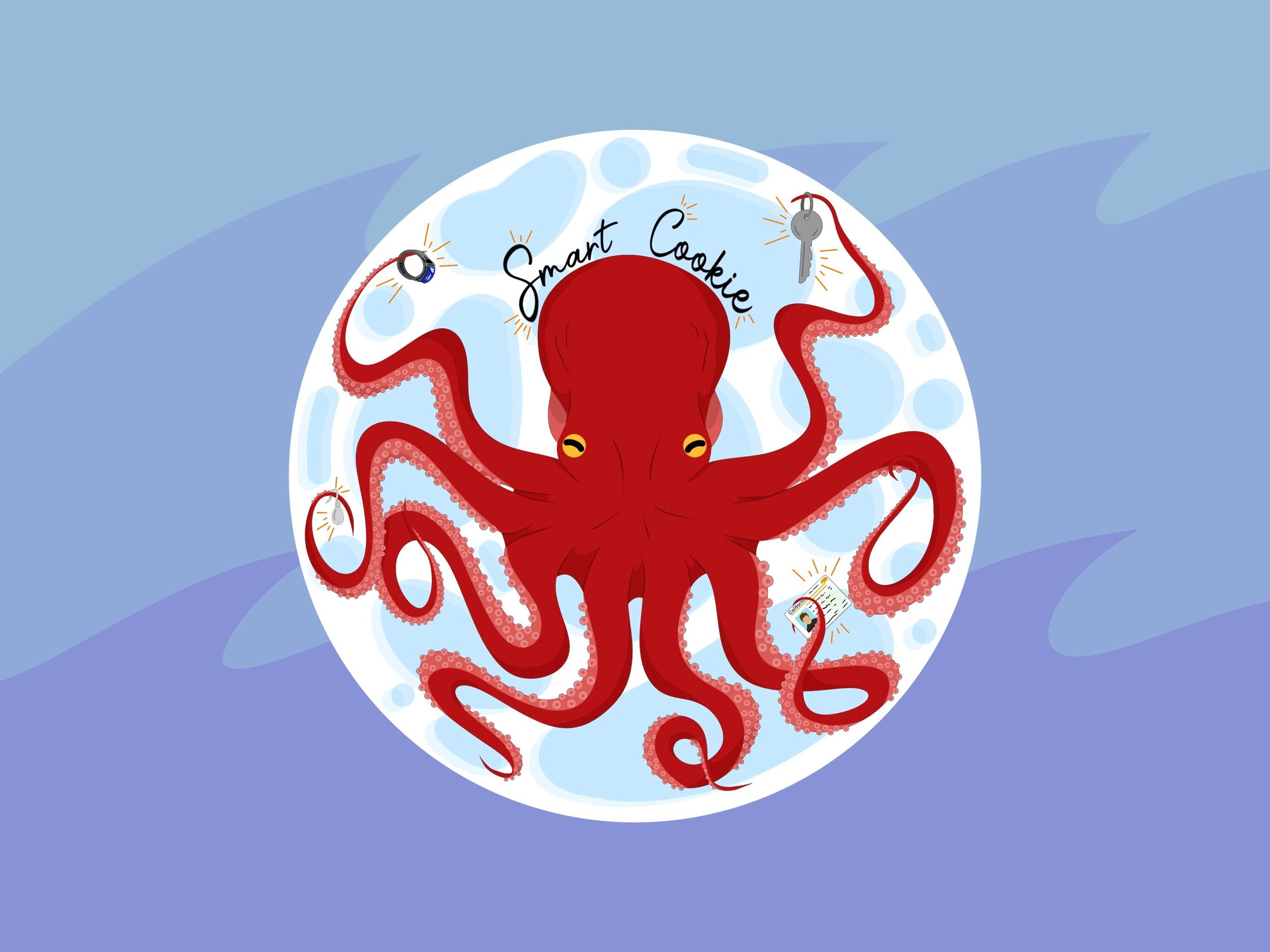 https://i.etsystatic.com/16916545/r/il/c55ecf/5650465846/il_fullxfull.5650465846_sj2j.jpg