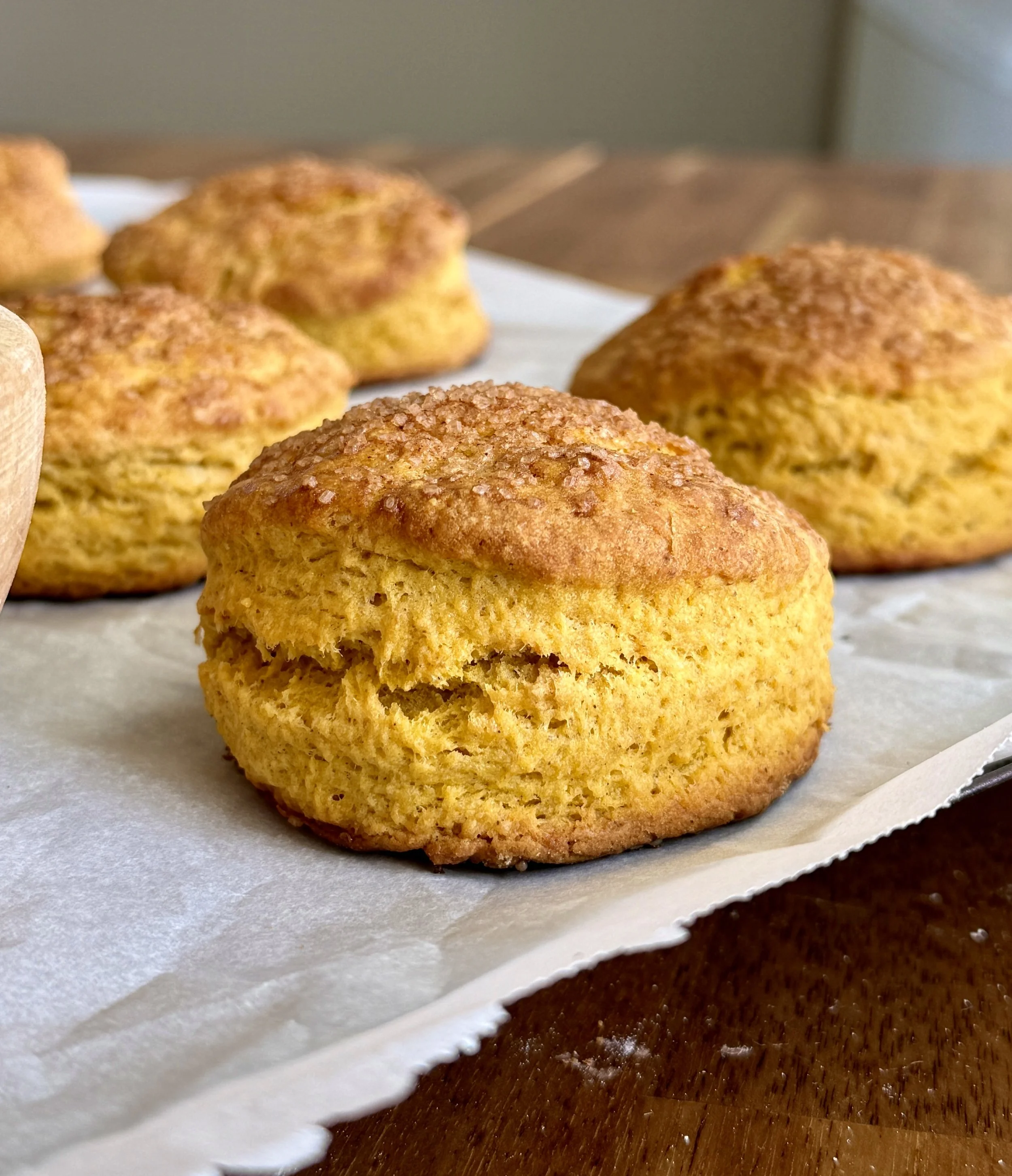 Sourdough pumpkin shortcakes made with sourdough discard, filled and topped with warm cinnamon apples, and finished with a dollop of maple cinnamon whipped cream.